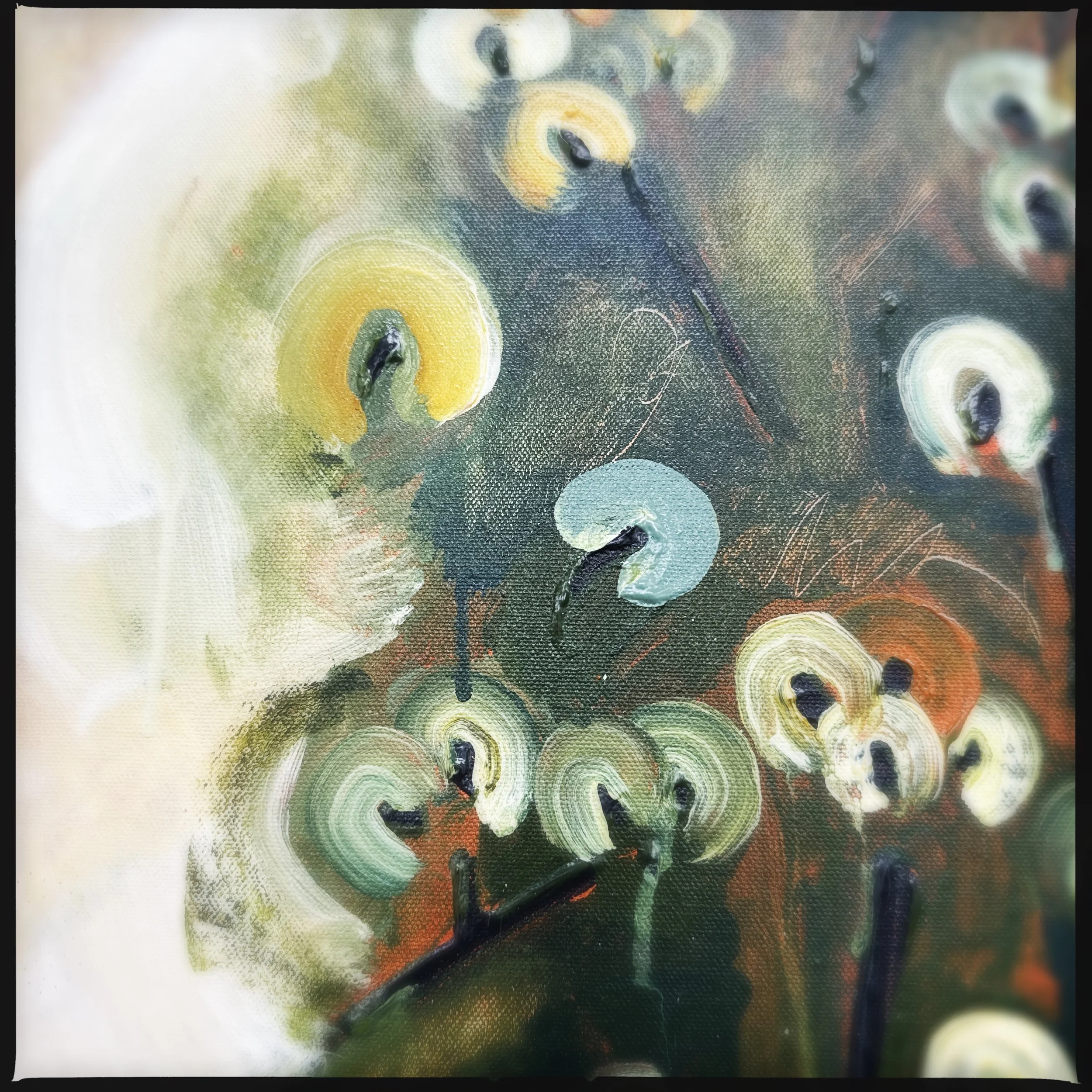 HipstamaticPhoto-772001830.631172.jpeg