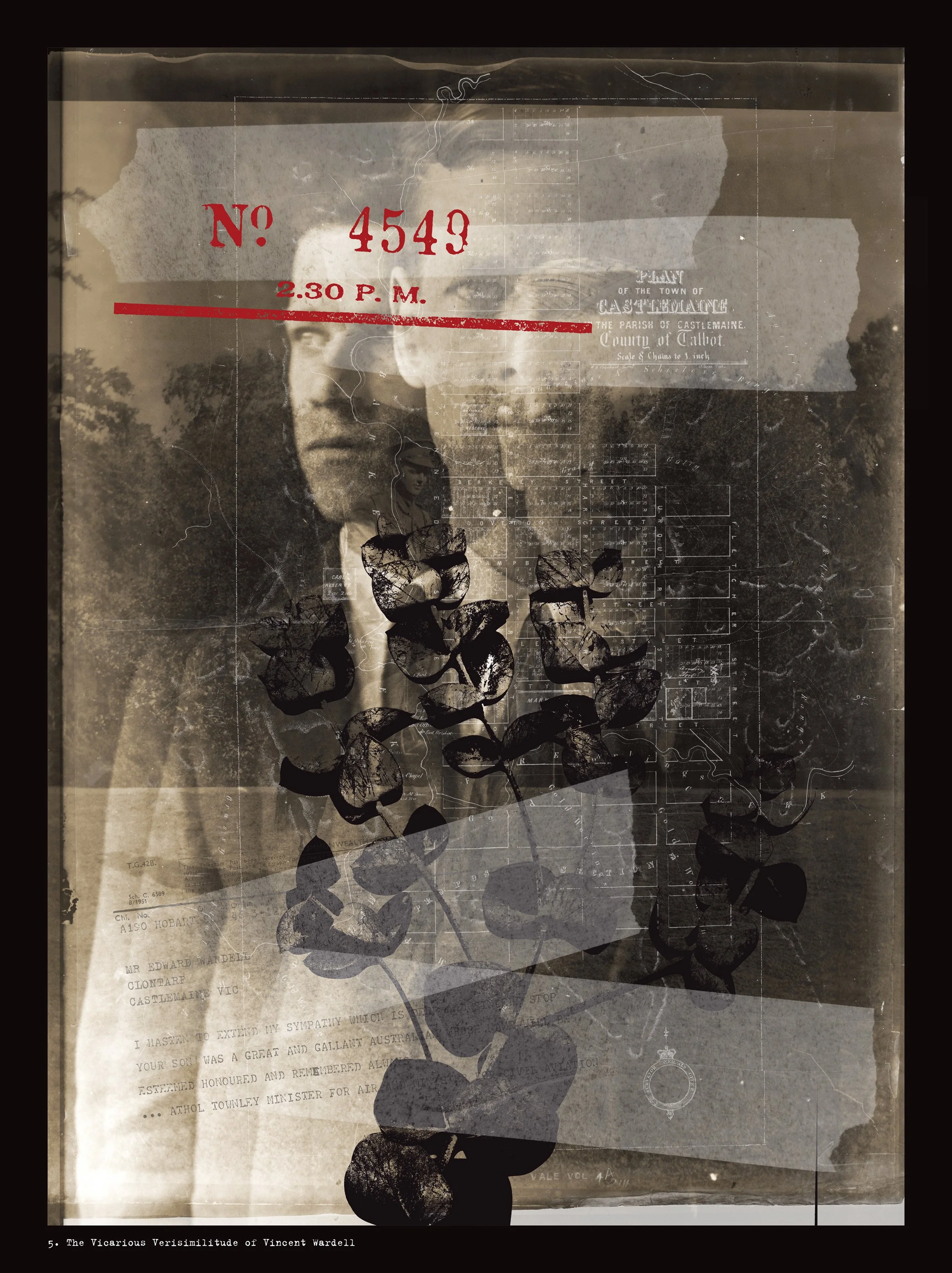 5. The Vicarious Verisimilitude of Vincent Wardell