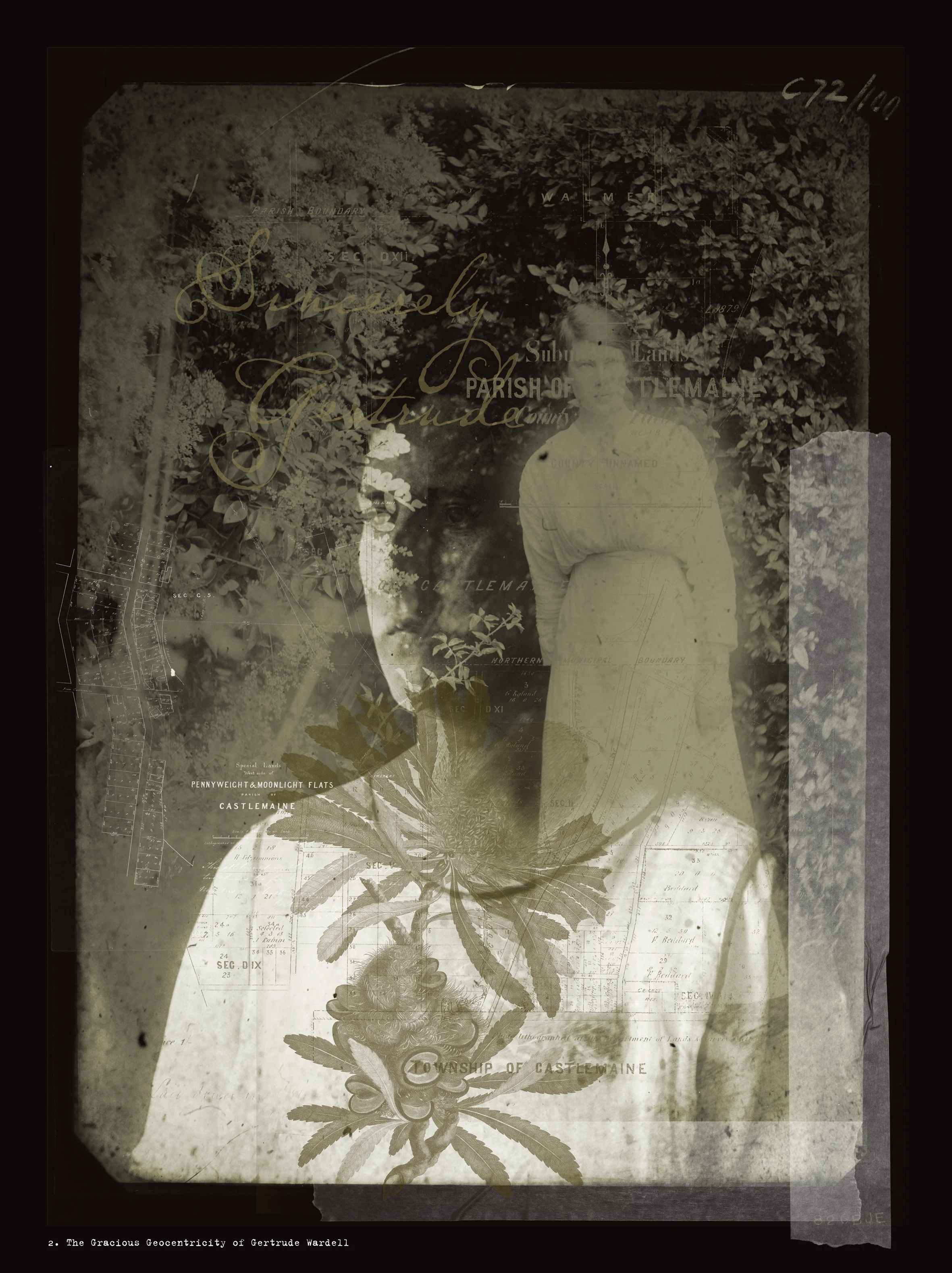 2. The Gracious Geocentricity of Gertrude Wardell