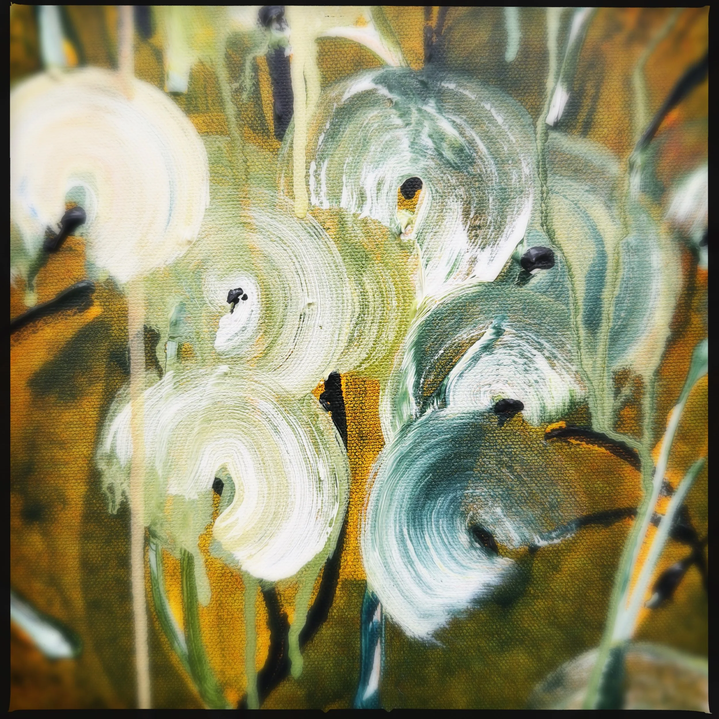 HipstamaticPhoto-790644620.491296.jpeg