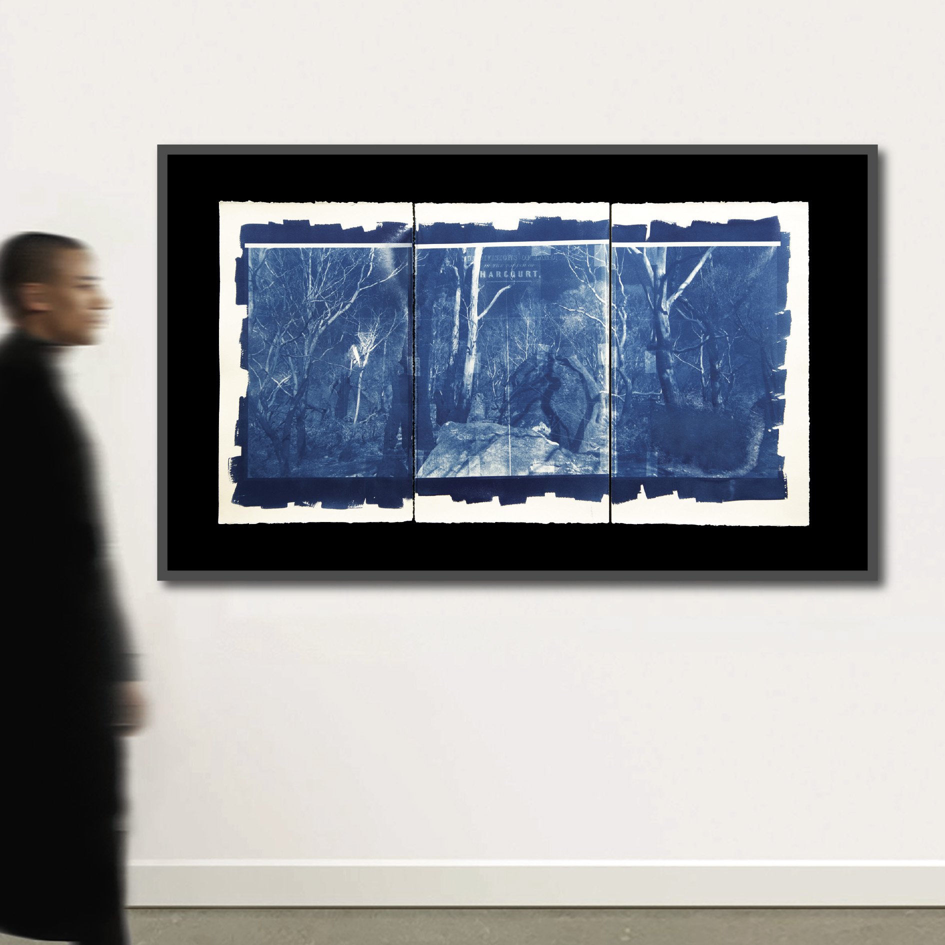 Cyano 2460 Walls-2.jpg