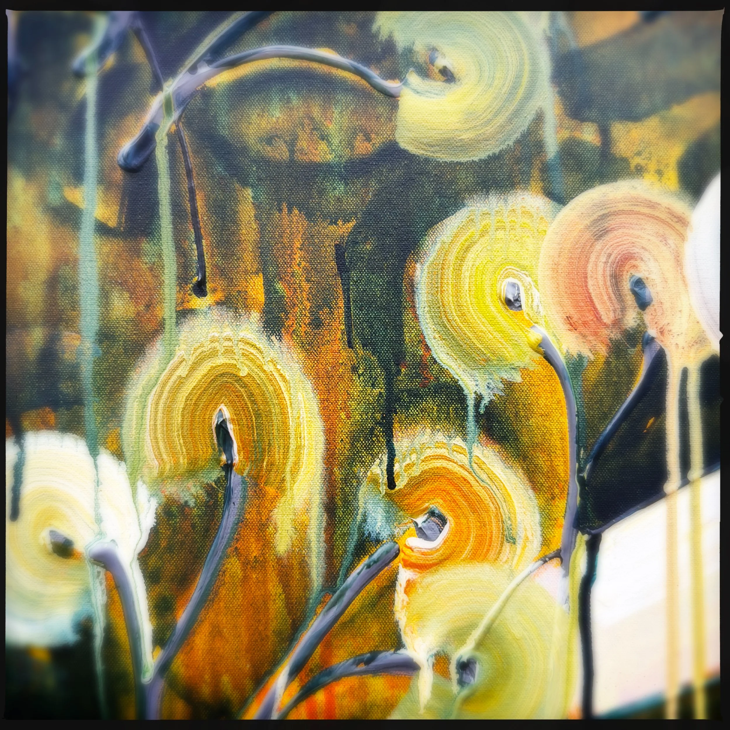 HipstamaticPhoto-791534974.404003.jpeg