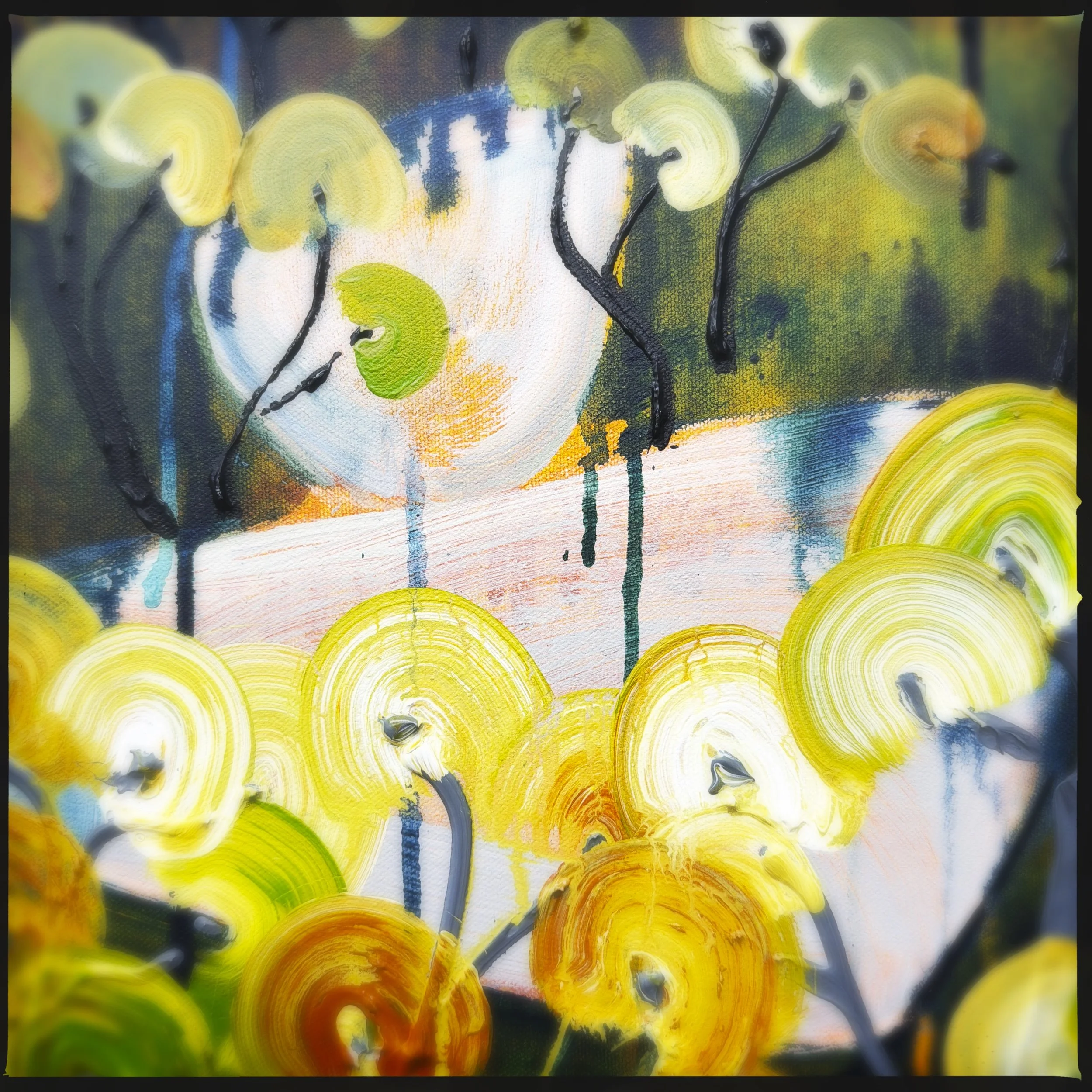 HipstamaticPhoto-797240214.188707.jpeg