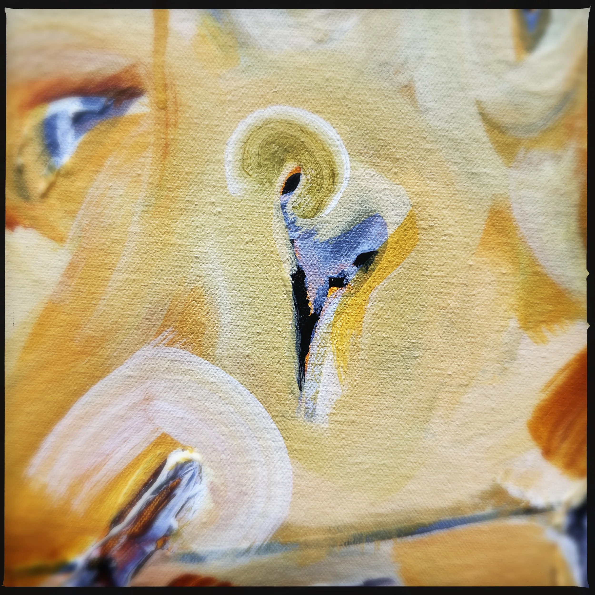 HipstamaticPhoto-756338018.686991.jpg