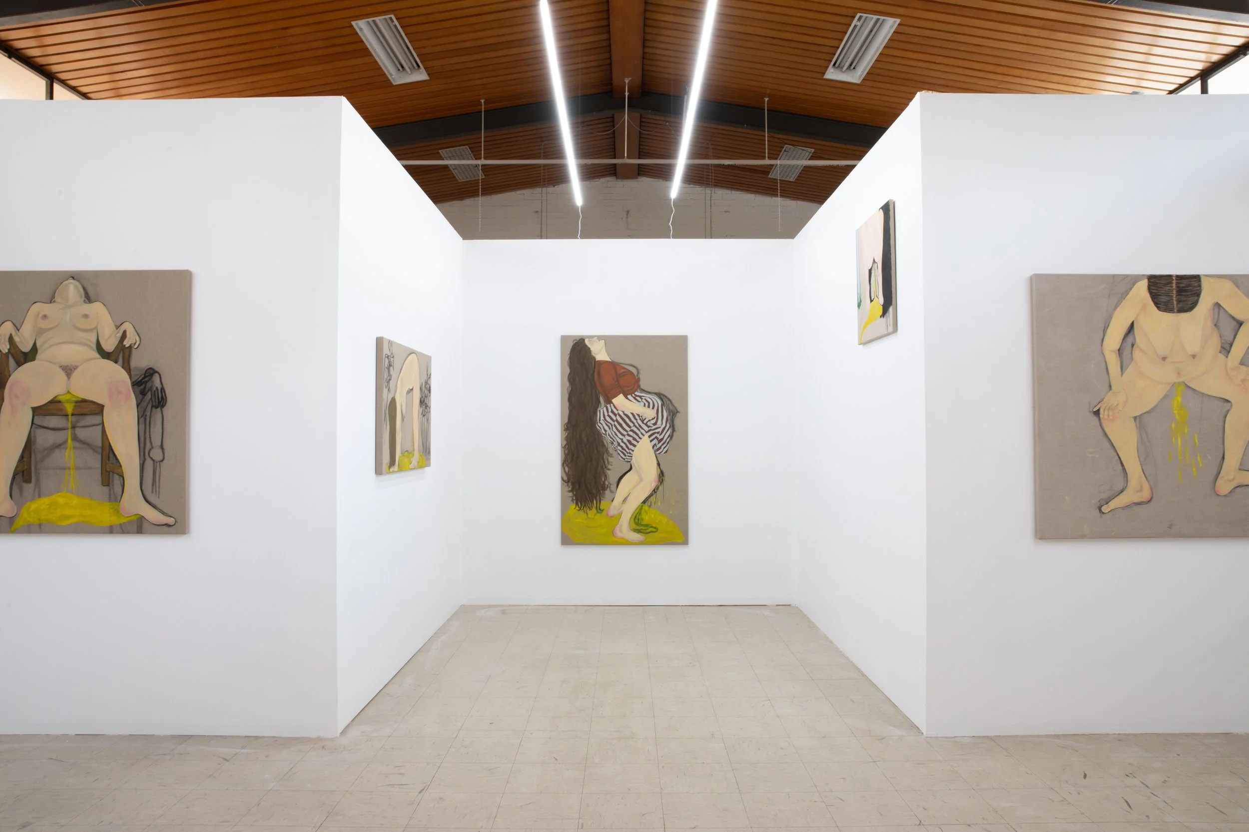 Install view pic by Hanako Muller