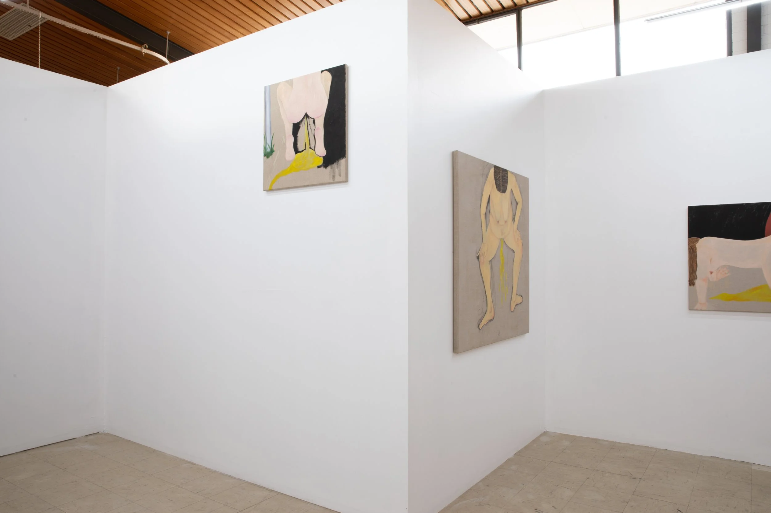 Install view pic by Hanako Muller