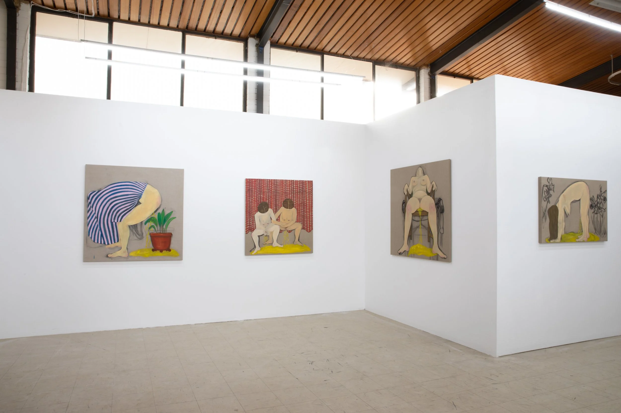 Install view pic by Hanako Muller