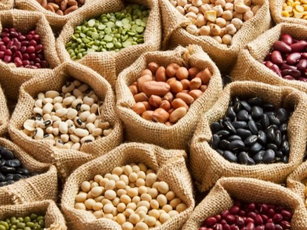Many types of legumes in sacks
