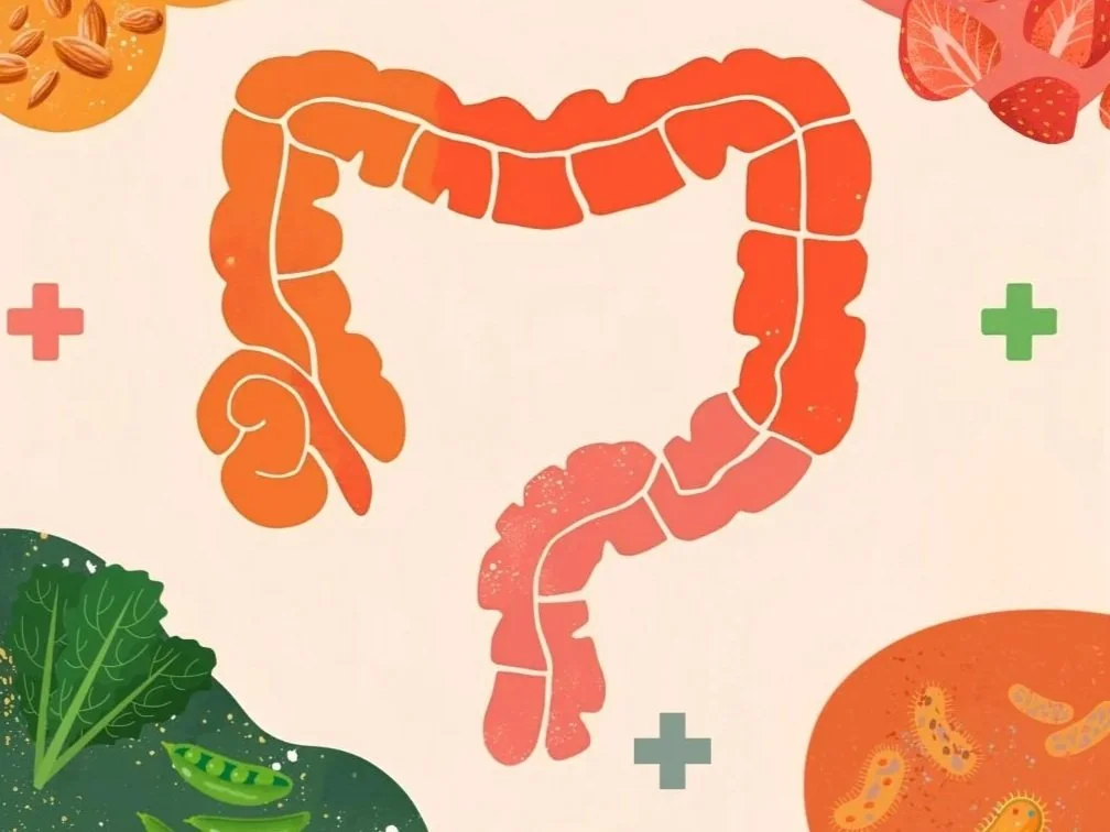 How fibre reduces colon cancer risk