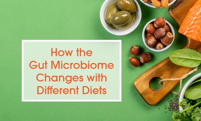 How Your Gut Microbiome Changes on Different Diets 