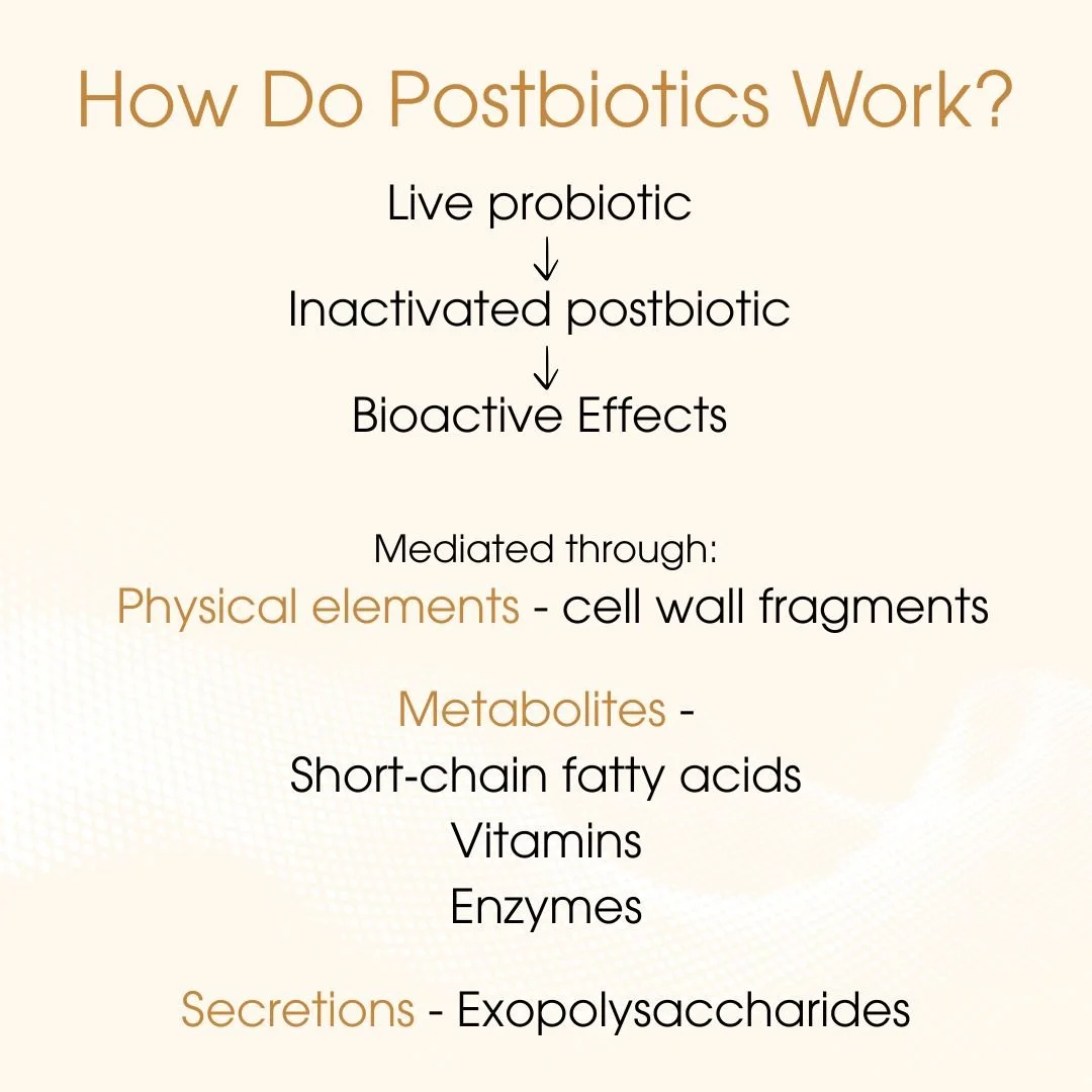 How do postbiotocs work 1.jpg