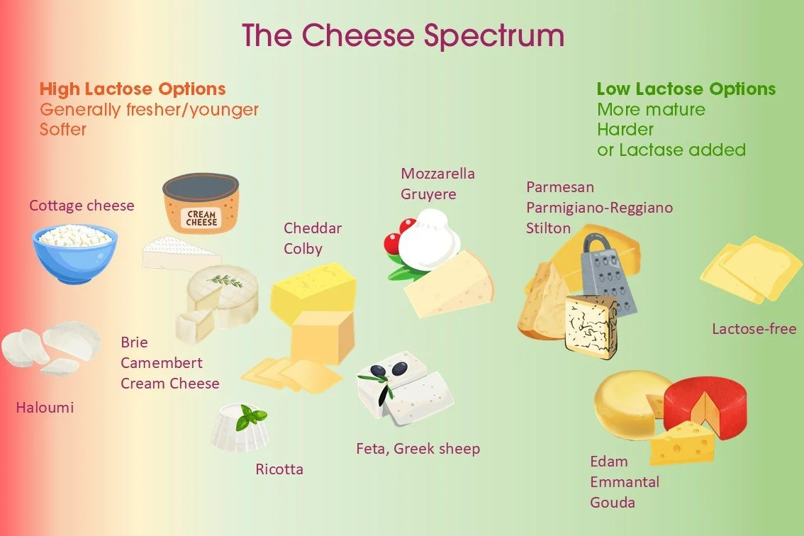Lactose-free cheese - lifesaver or gimmick — Noisy Guts