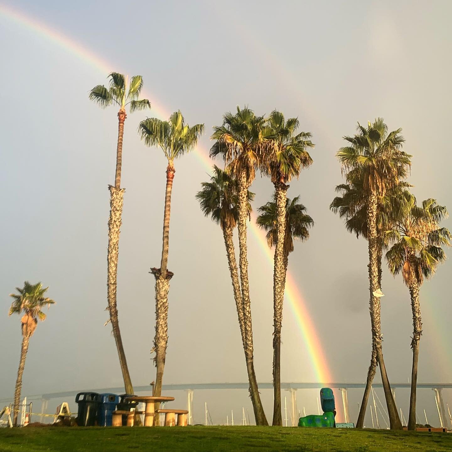 Got caught in the rain today, but it was worth it. 🌧 🌈 🌴