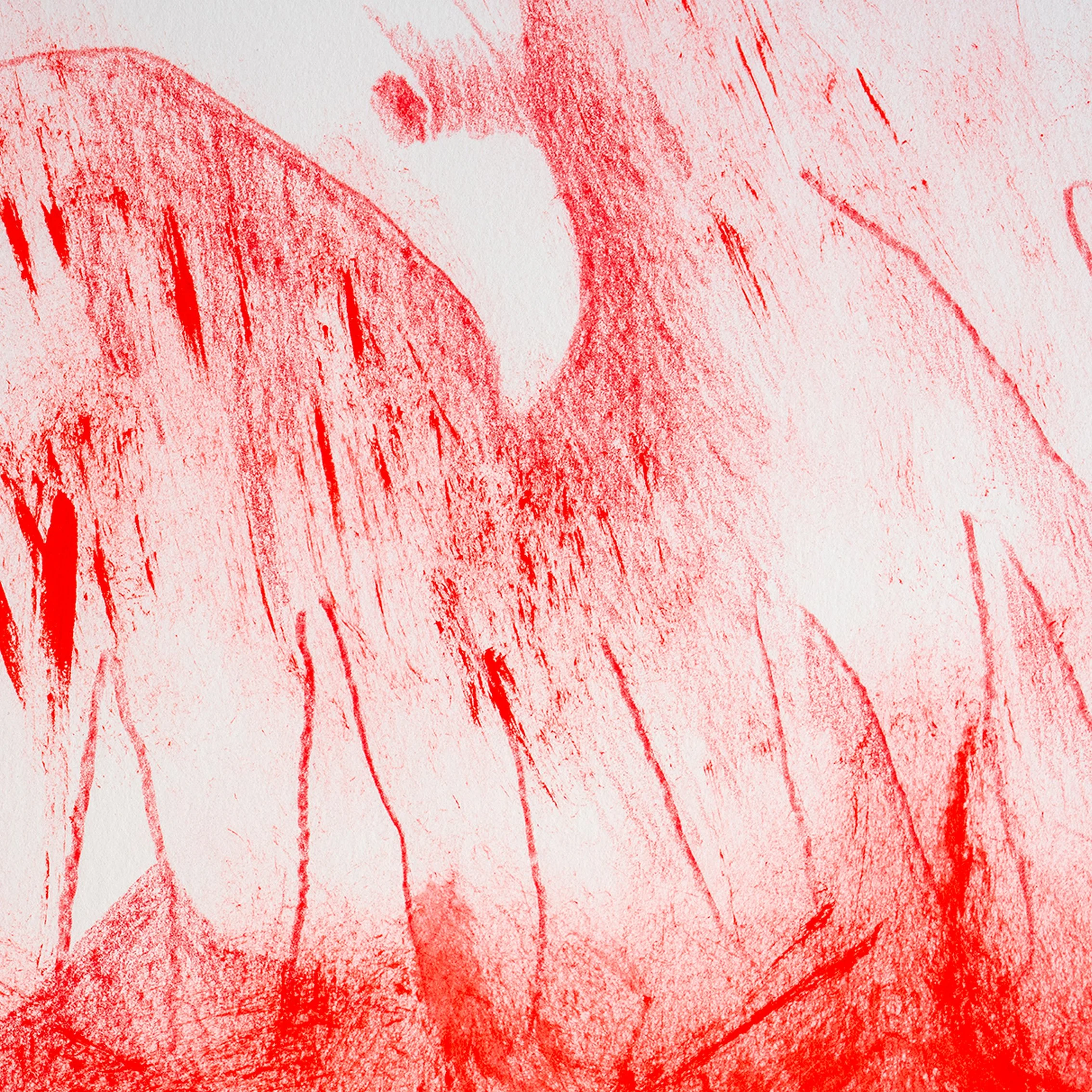 wwwadlerdetail copy.jpg