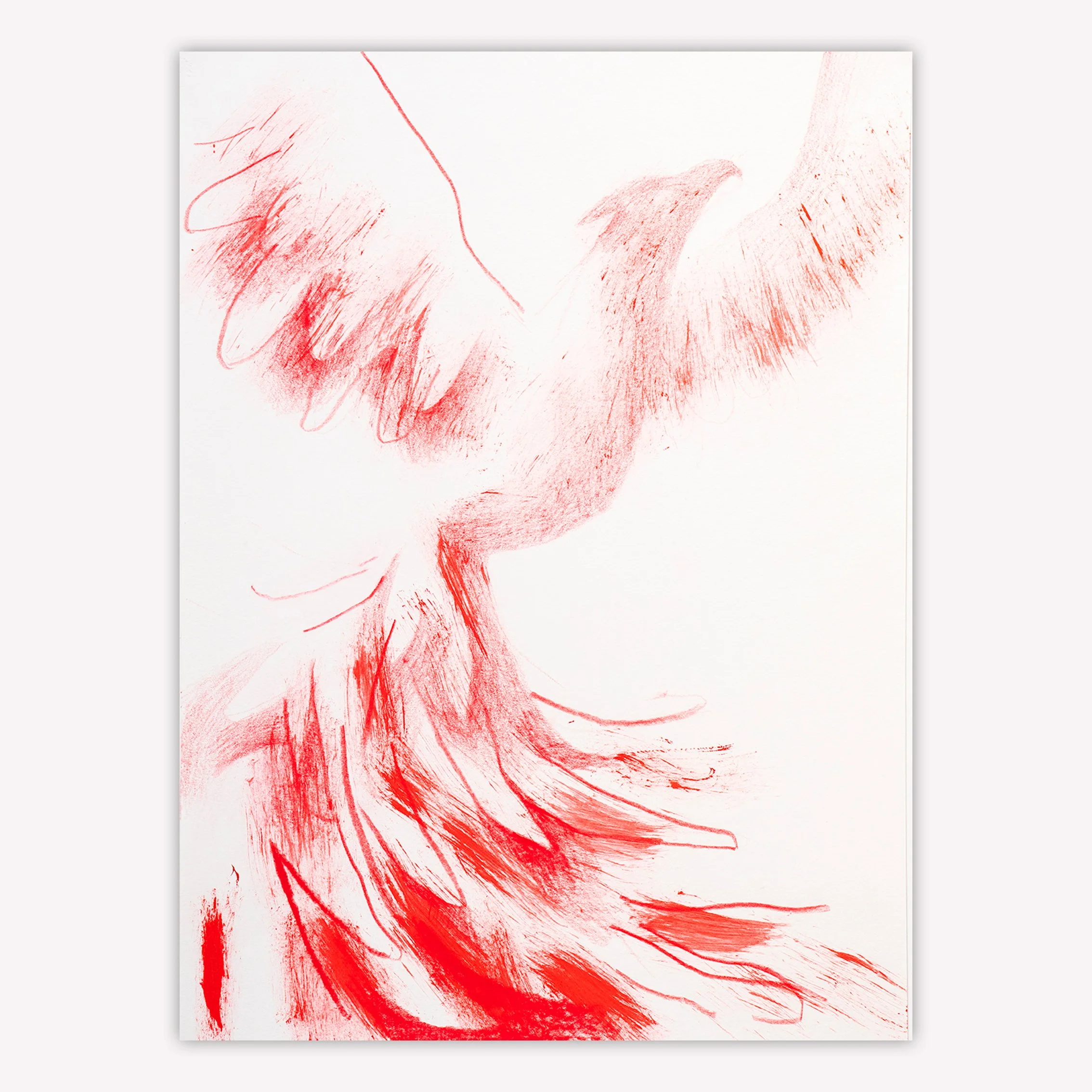 wwwBILD phoenix.jpg