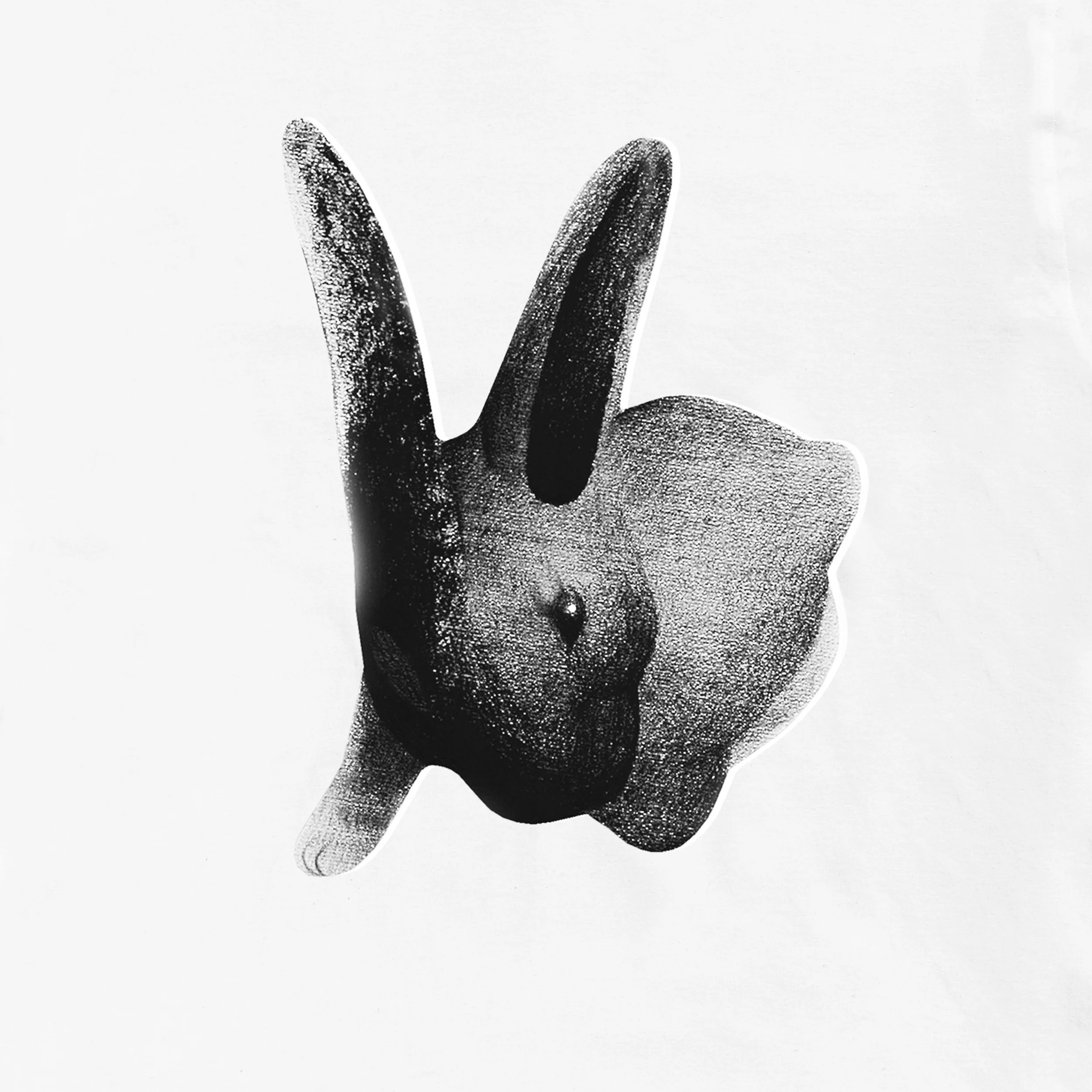 Anna T-Hirt Wise copy 2a.jpg