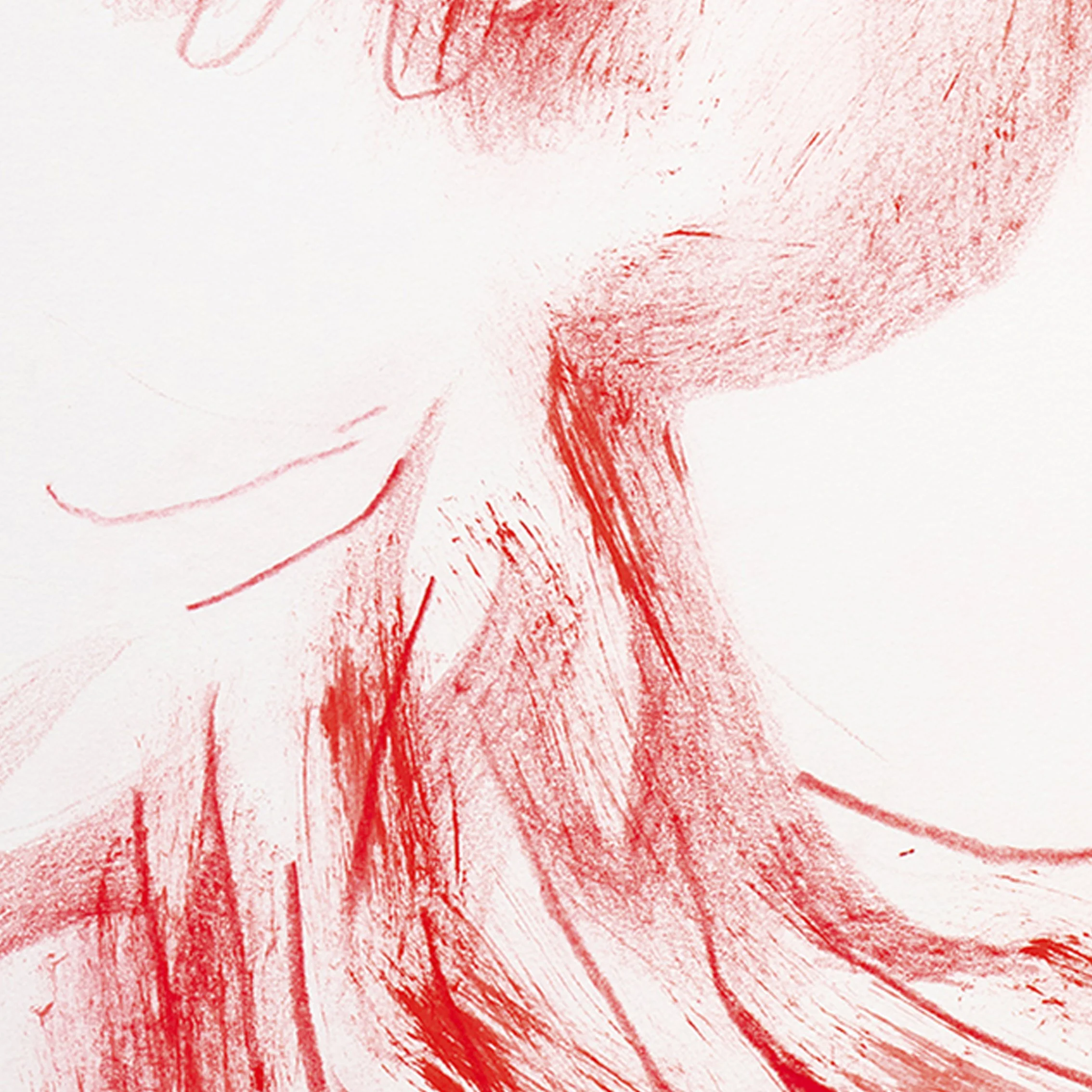 Byk_detail.jpg