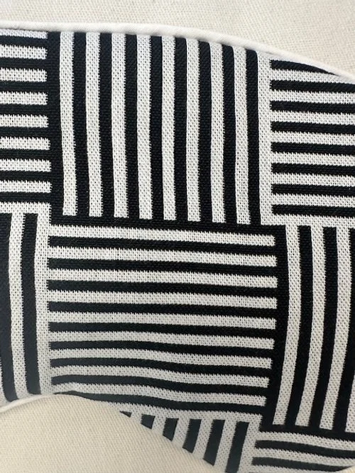 Zebra Mask 1.jpg