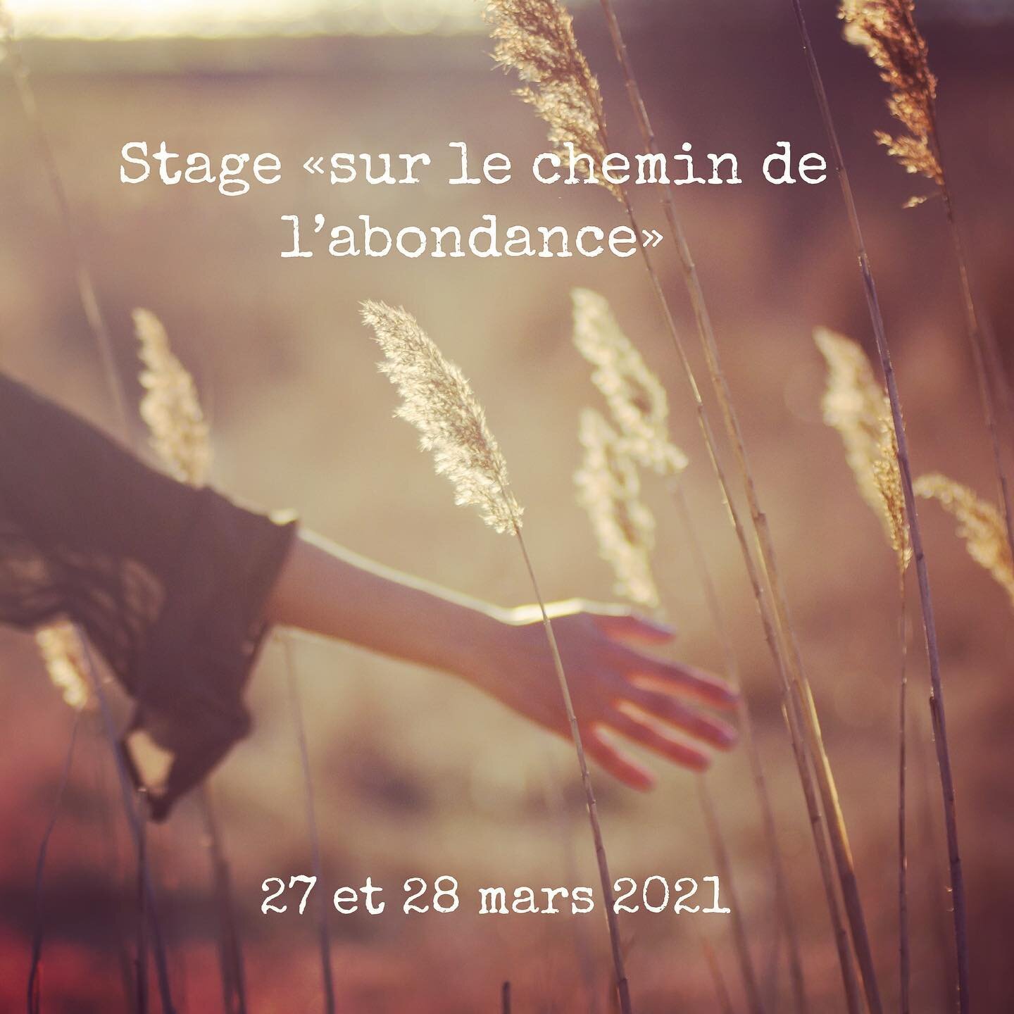 🌾Je vous propose 2 journ&eacute;es d&rsquo;accompagnement et d&rsquo;enseignement archang&eacute;lique, d&rsquo;initiation, de lib&eacute;ration et de gu&eacute;rison, mais aussi de conseils pratiques pour manifester l&rsquo;abondance dans votre quo