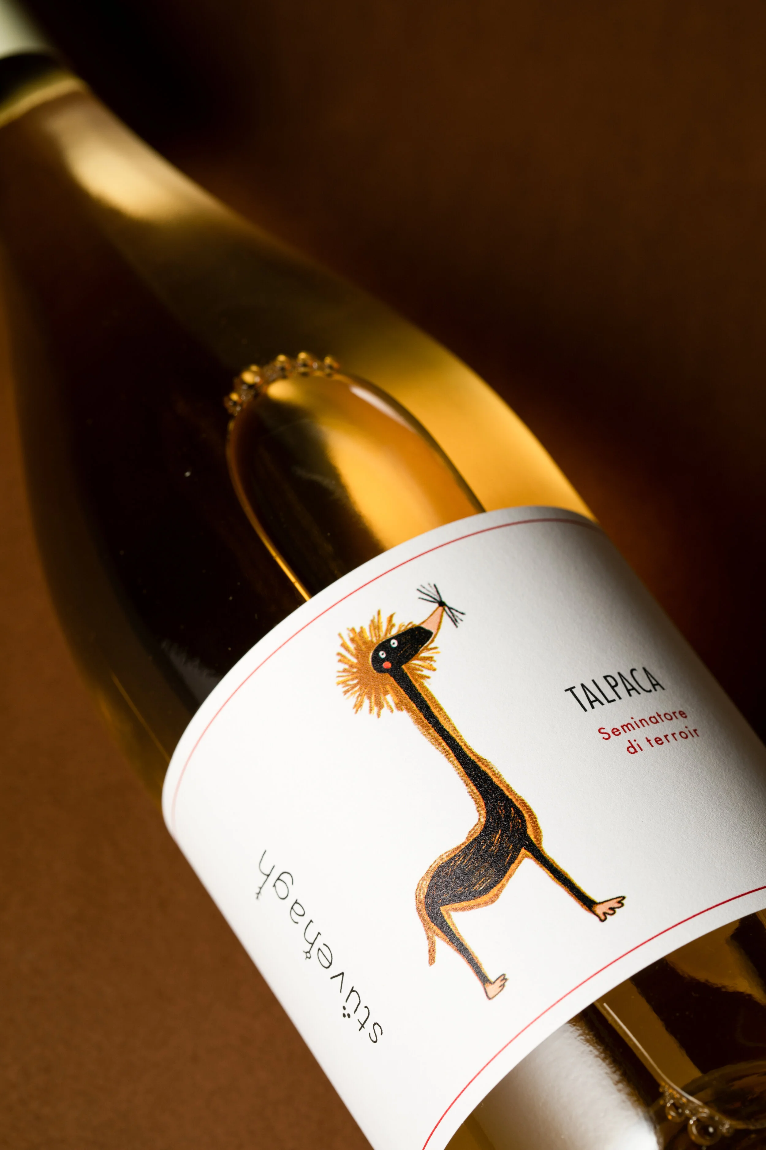 InVinusWine-237.jpg