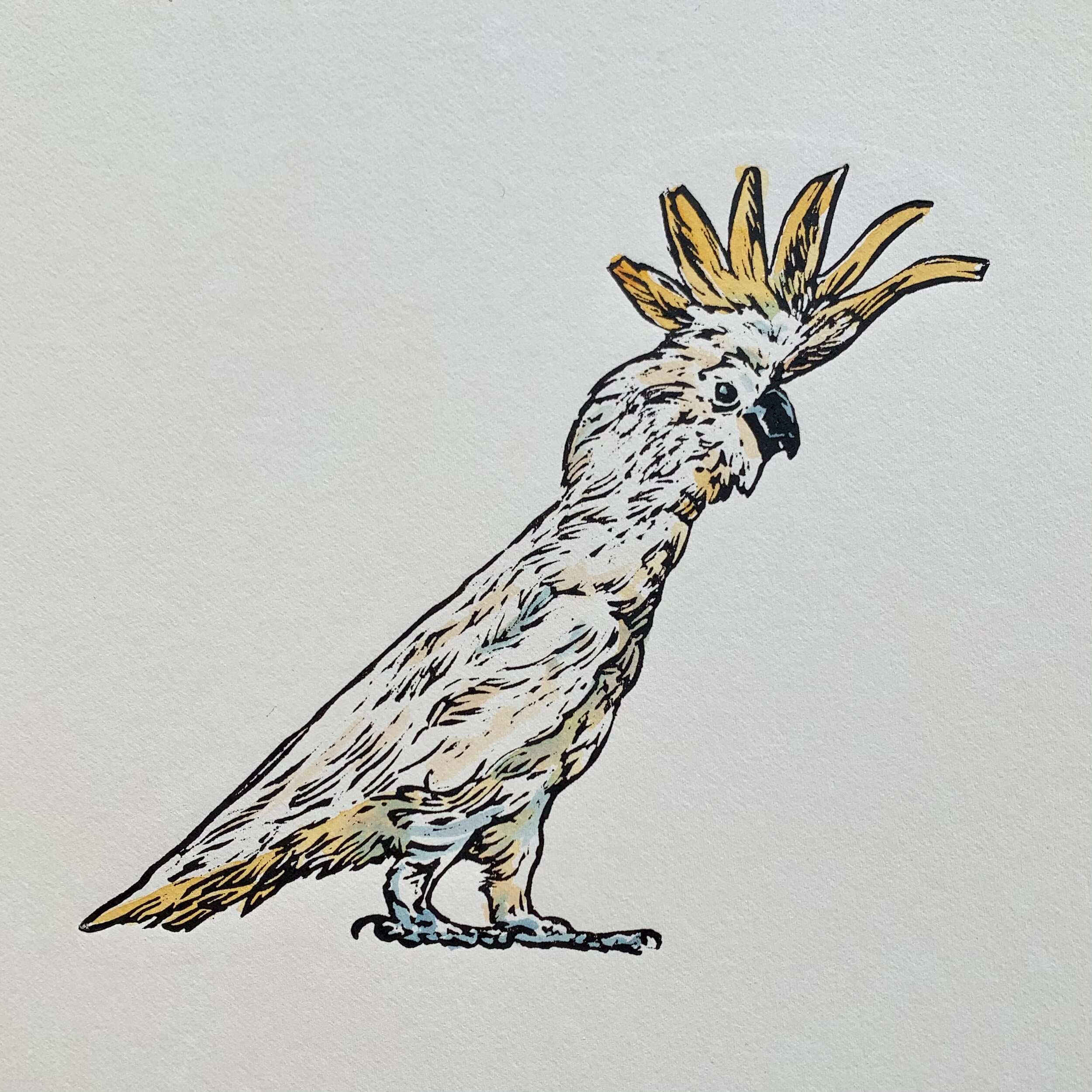 cock47.jpeg