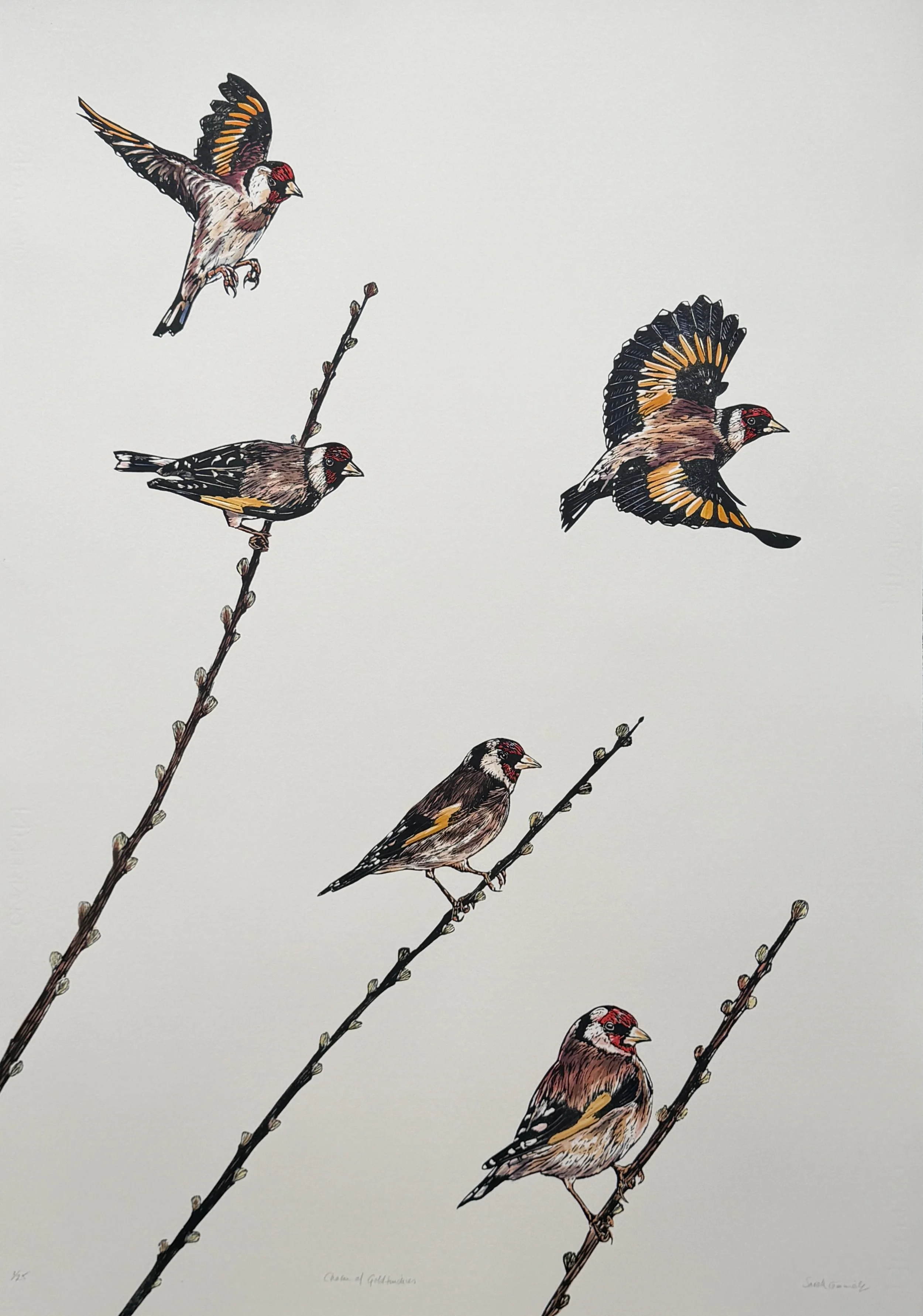 A Charm of Goldfinches