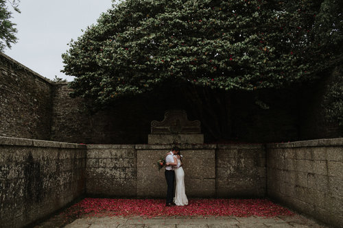 an artistic shot of a bride and groom