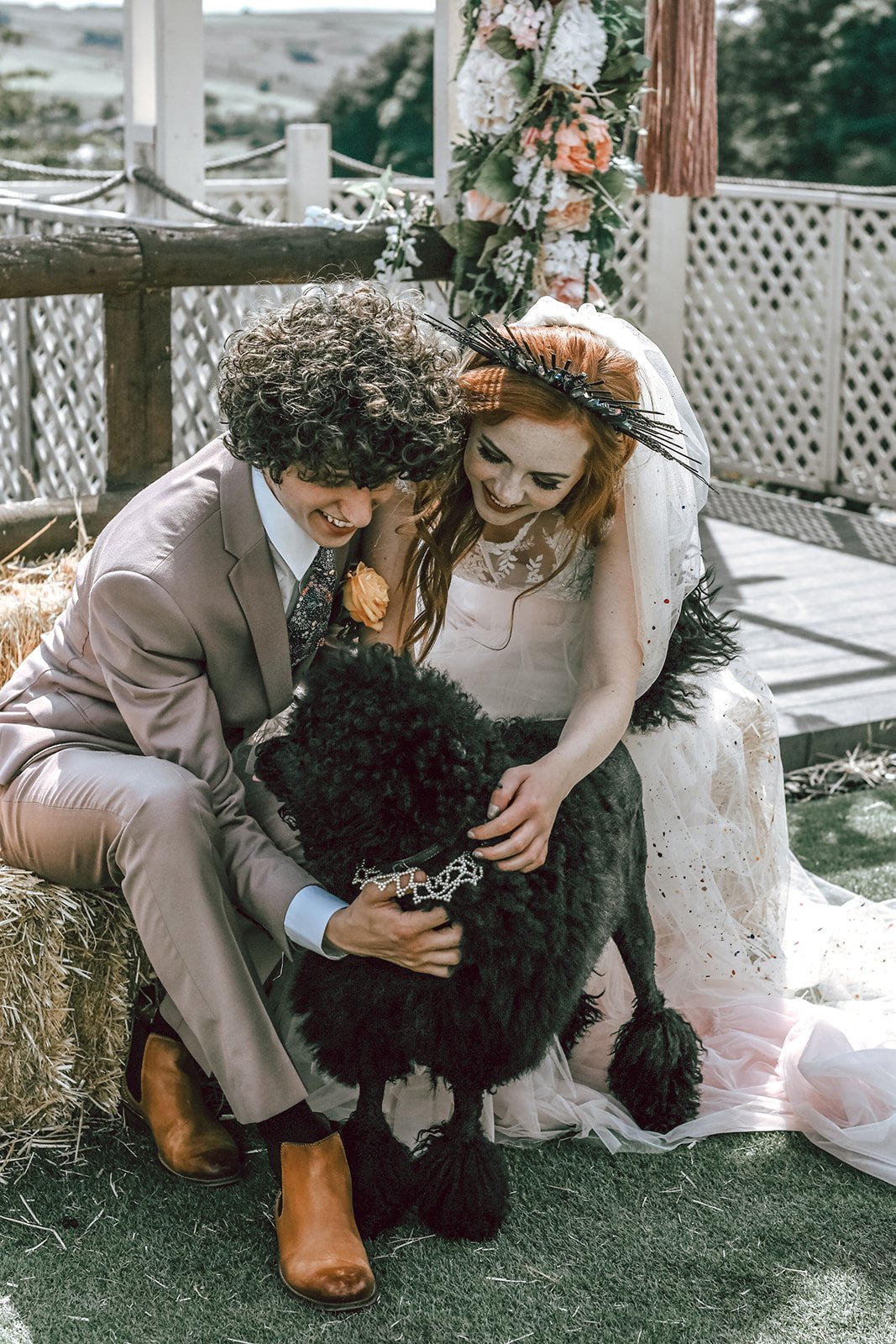 a bride and groom stroking their black poodle