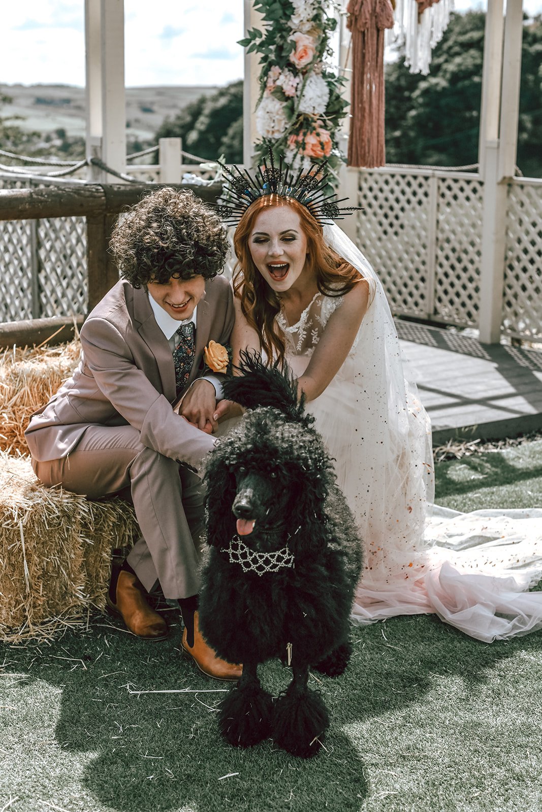 black poodle wearing a decorative collar at a wedding