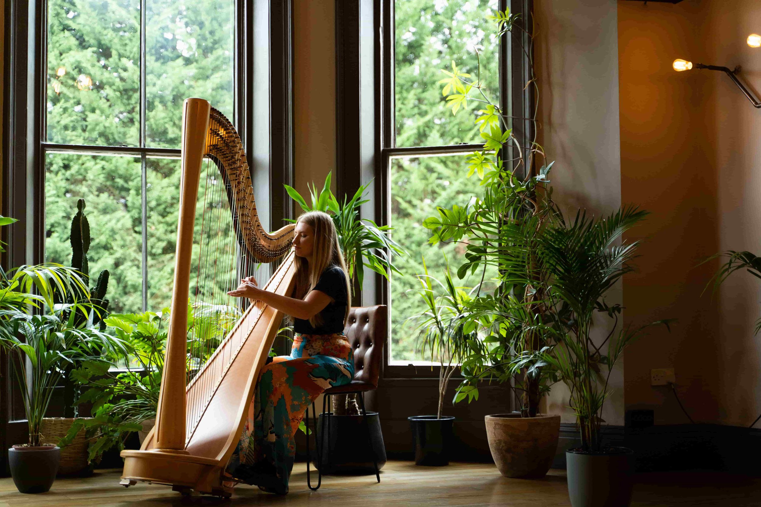  A female Harpist playing a beautiful harp next to some big windows with lots of luscious trees outside. 