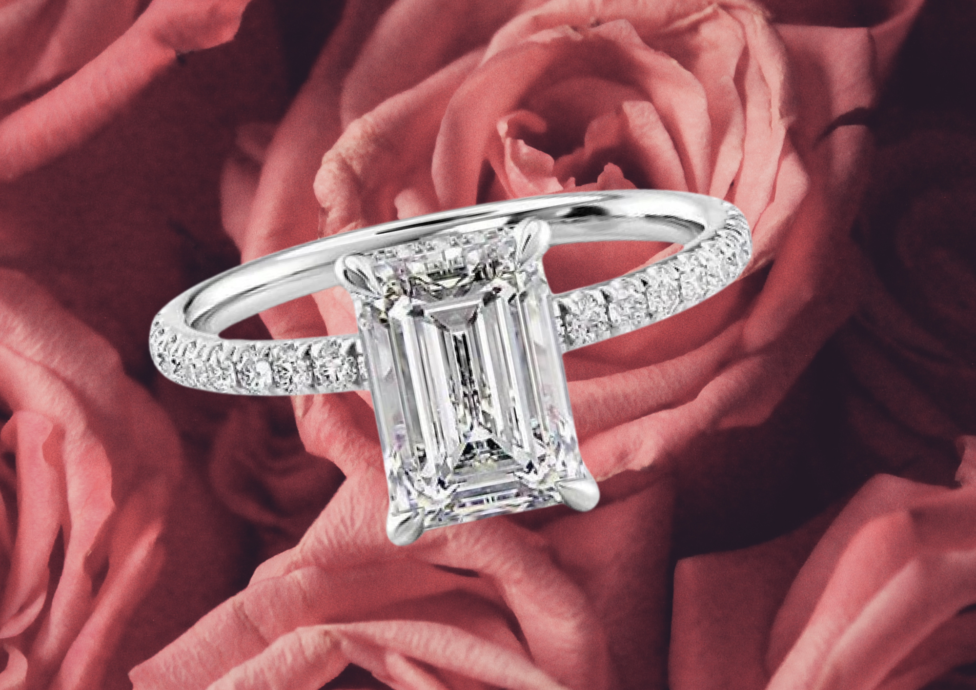 wedding style— Moissanite Rings: A Savvy And Sustainable Choice?
