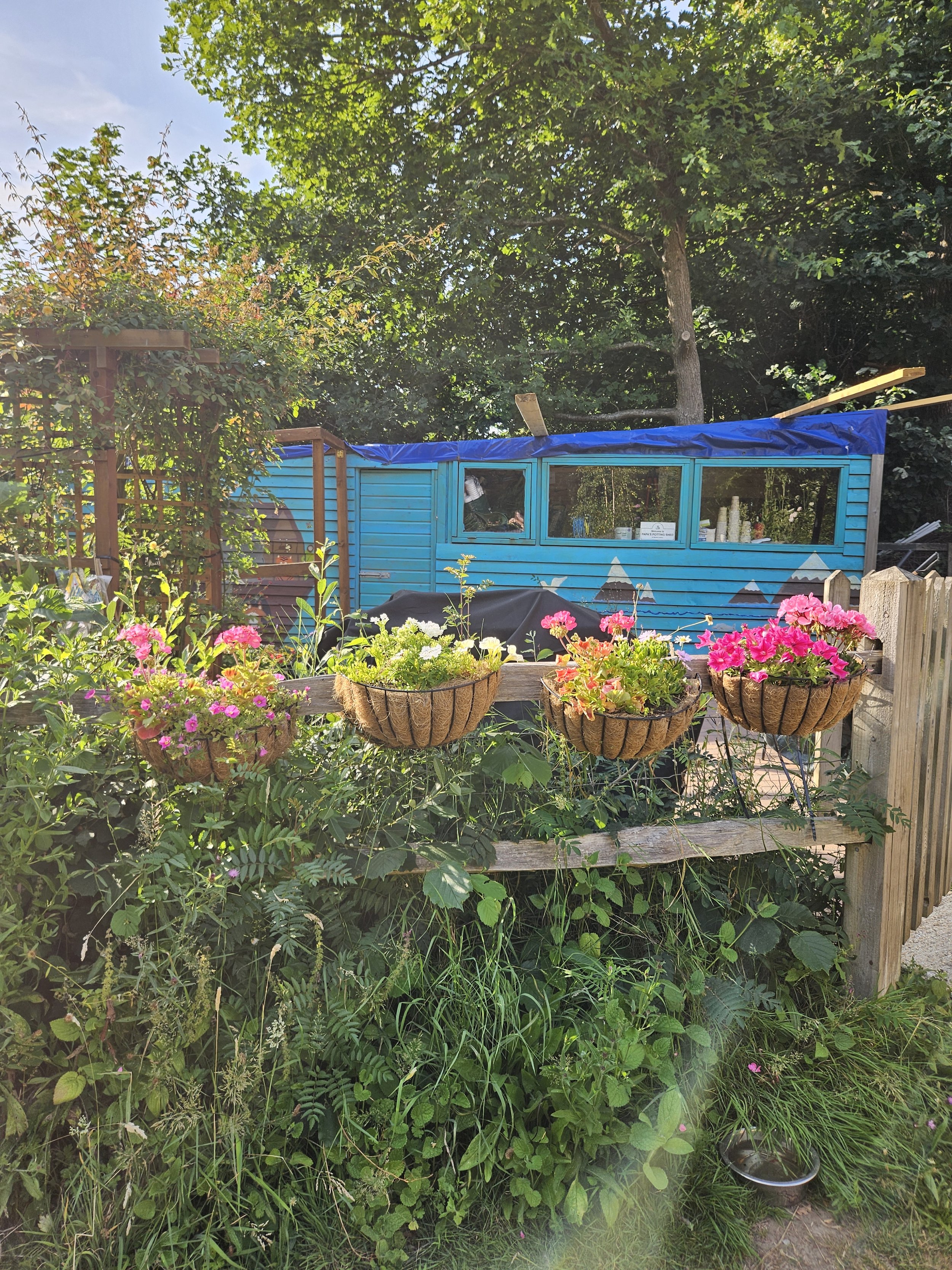 20260709_181416.jpg