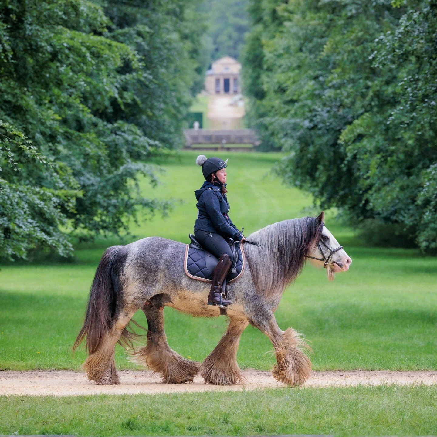 Before the downpour!
#bramham #rda #horse #horses #horseriding #horselover #horselove #horselife #horserider #horsesofinstagram #horseofinstagram #horsephotographer #horsephotography #horseriders #horsecrazy #horsevents #horseplanet #instahorse #equ