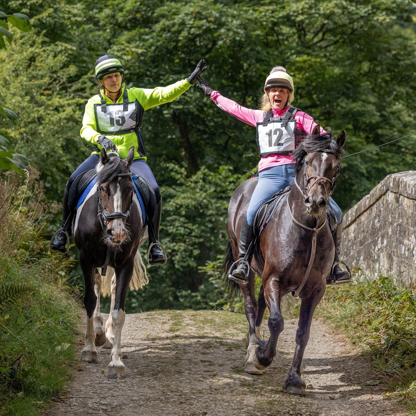 Another great event in a very busy season - the BHS Rievaulx Ride. Photos are now online at bit.ly/rievaulx Thanks to the whole Team!
#horse #horses #horseriding #horselife #horserider #horsesofinstagram #horseofinstagram #horsephotographer #horseph