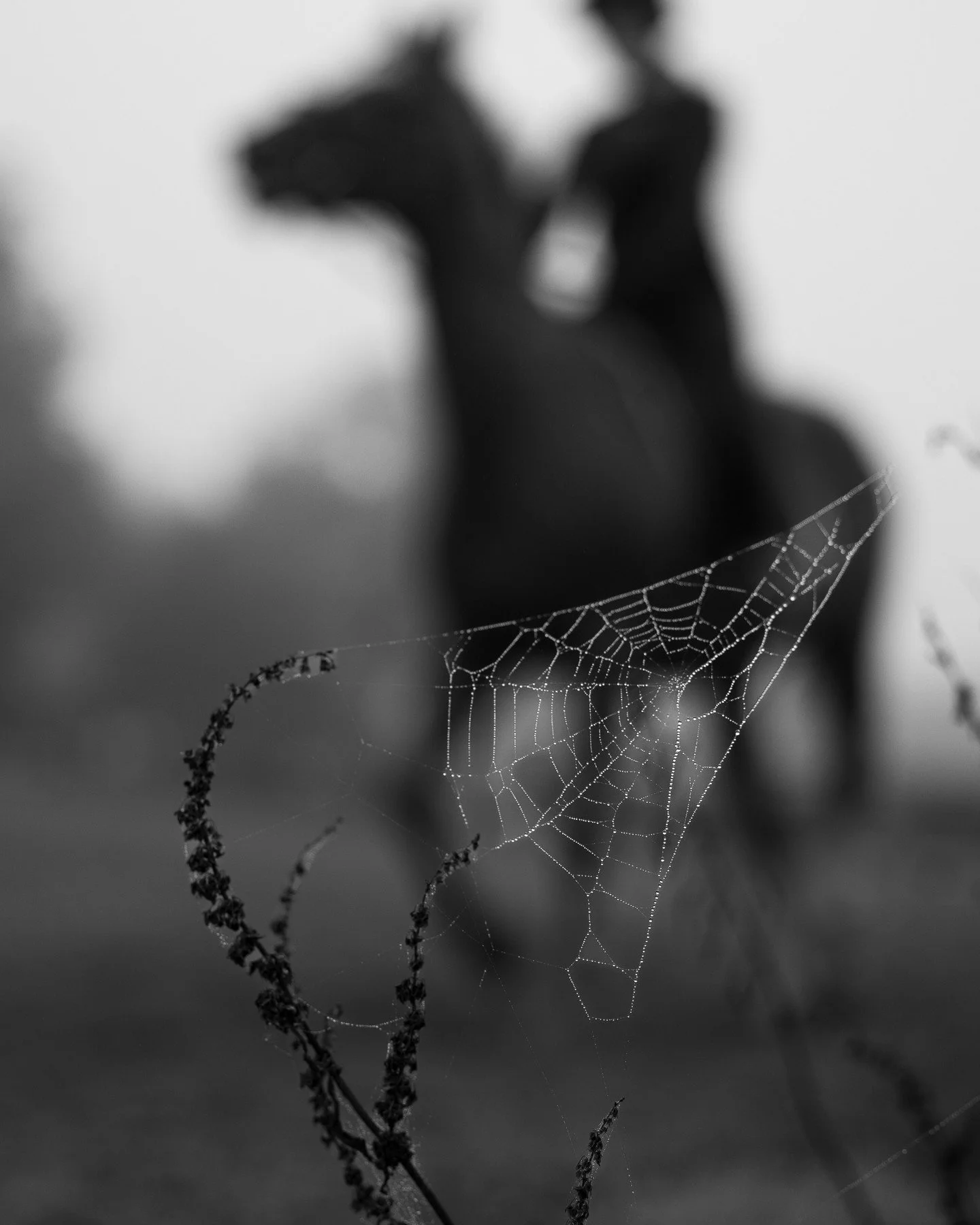 Seems like autumn has arrived. Some very misty scenes during my shoot at the weekend.