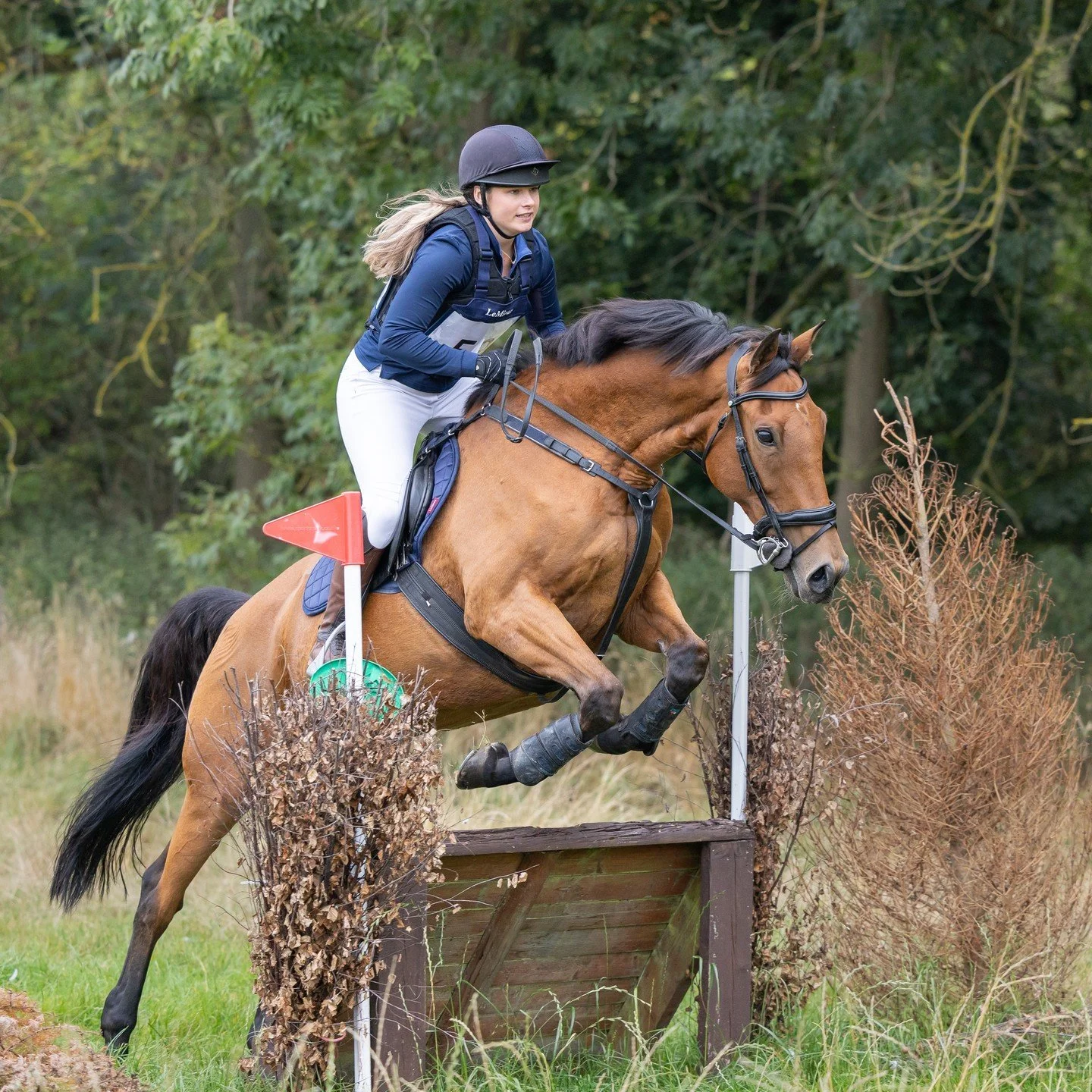 The weather was very dull at this weekend's Hunter Trial, but the R6ii served me well.
#horse #horses #horseriding #horselover #horselove #horselife #horserider #horsesofinstagram #horseofinstagram #horsegirl #horsephotographer #horsephotography #ho
