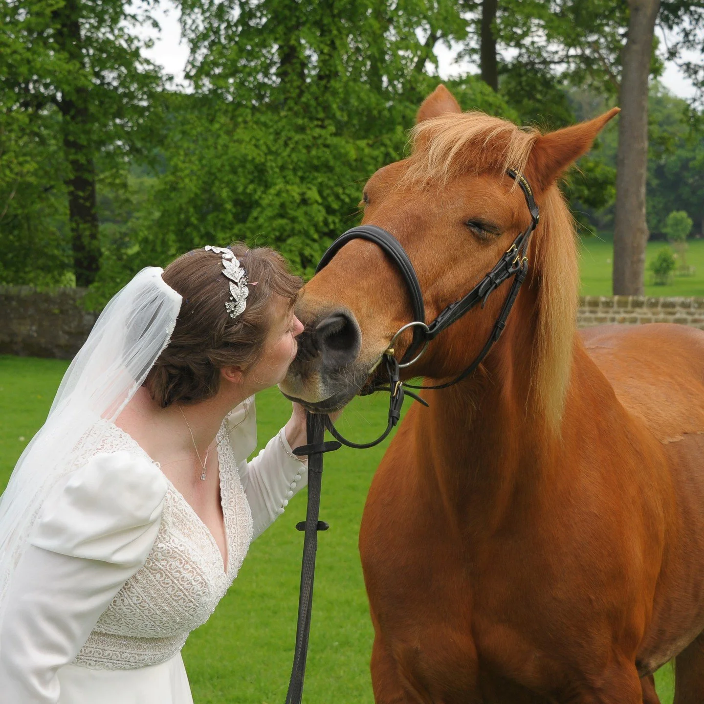 "You may now kiss the Bride" ❤️
#horse #horses #horselover #horselove #horselife #horsesofinstagram #horseofinstagram #horsegirl #horsephotographer #horsephotography #horsecrazy #horseplanet #instahorse #equine #jervaulxabbeywedding #weddi