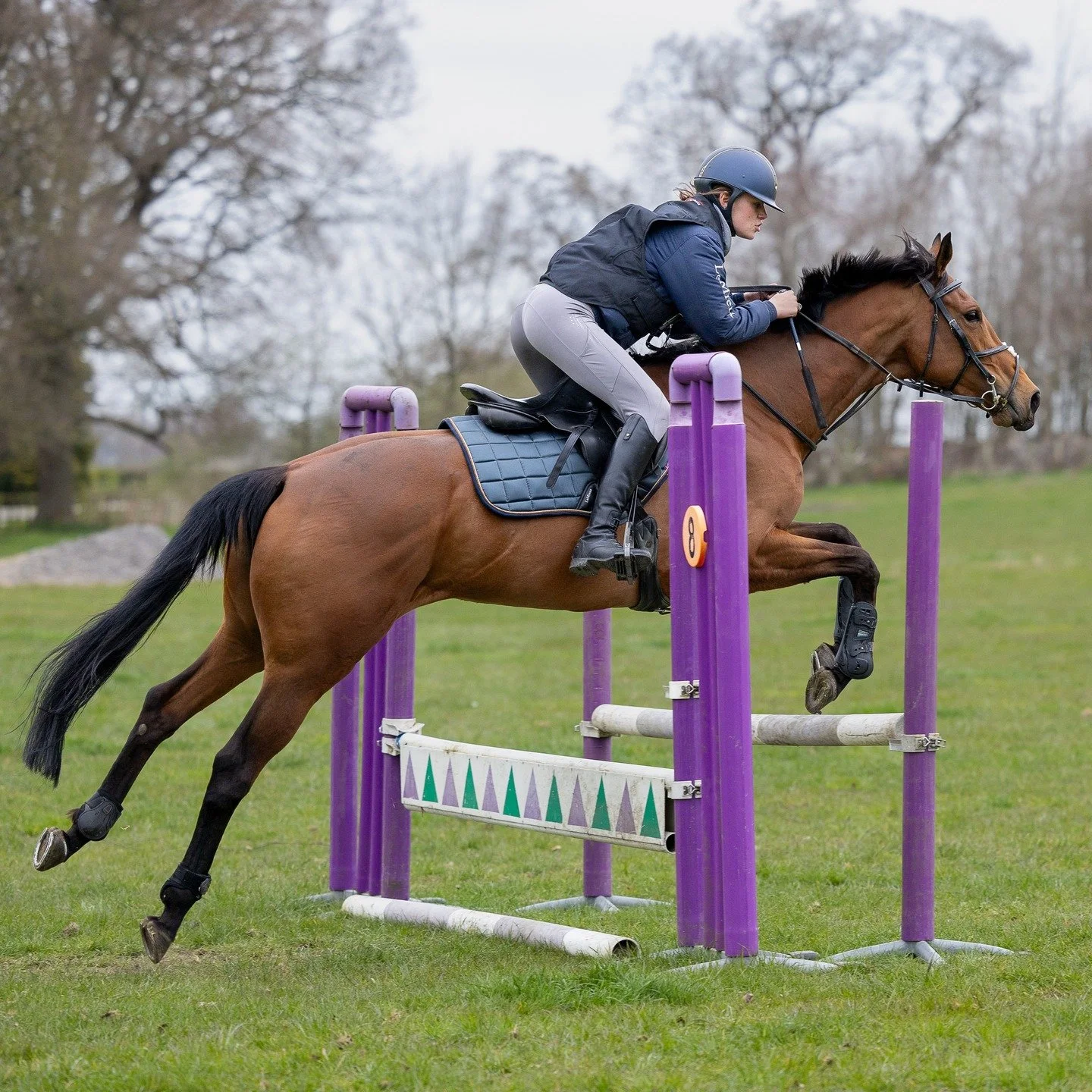 Super couple of days photographing the first @dennisevents camp of 2025
#horse #horses #horseriding #horselover #horselove #horselife #horserider #horsesofinstagram #horseofinstagram #horsegirl #horsephotographer #horsephotography #horsejumping #hors