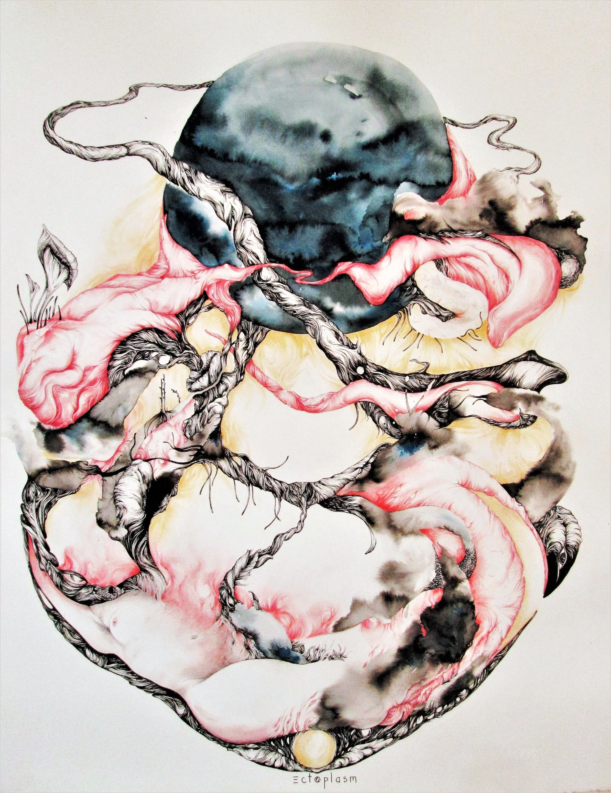Génèse, Encre, crayon et stylo sur papier
 61x73cm, 2016, 800€
