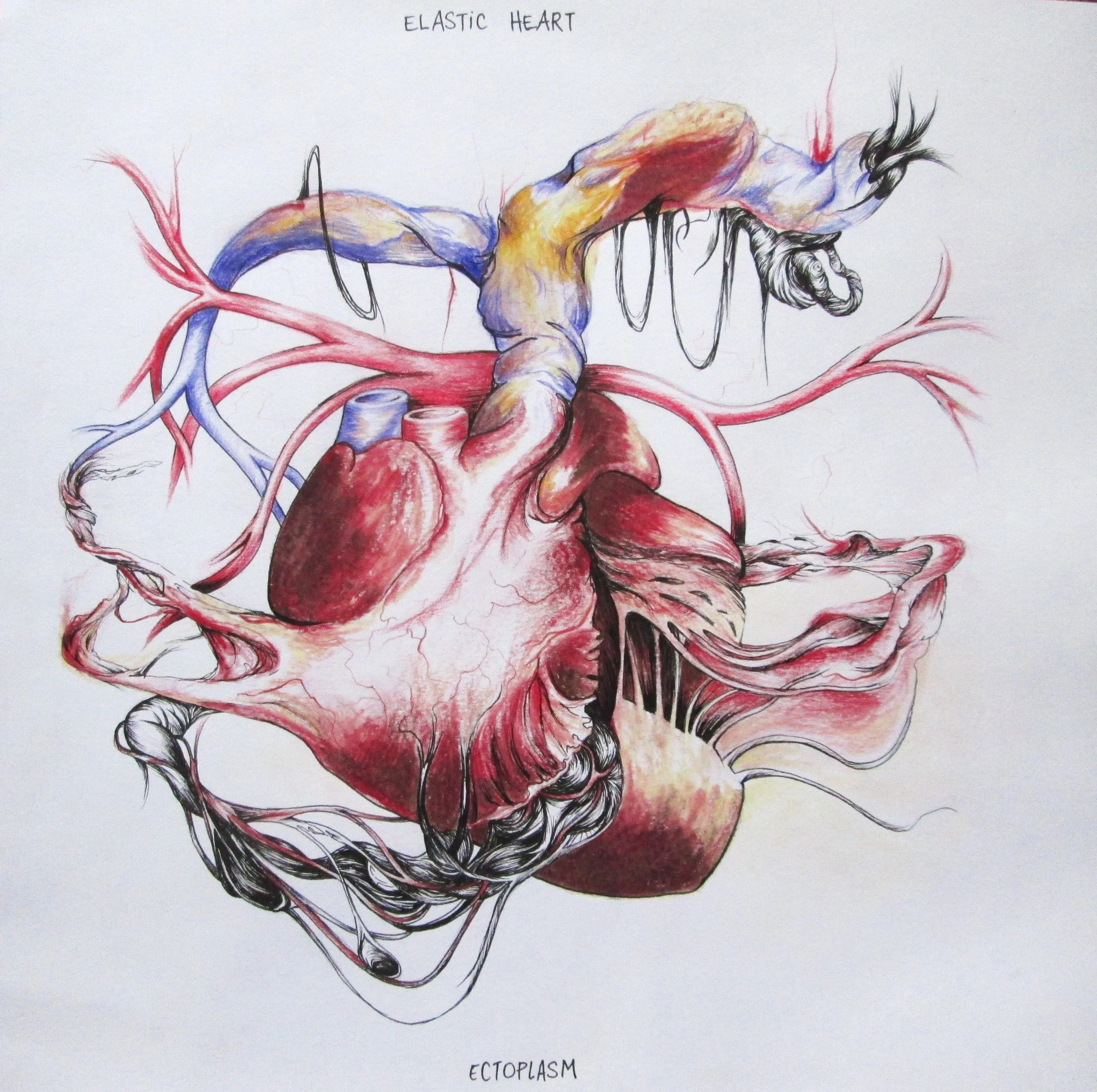 Elastic Heart, pen and pencils on paper, 12'x12' inches, 2015, 200€