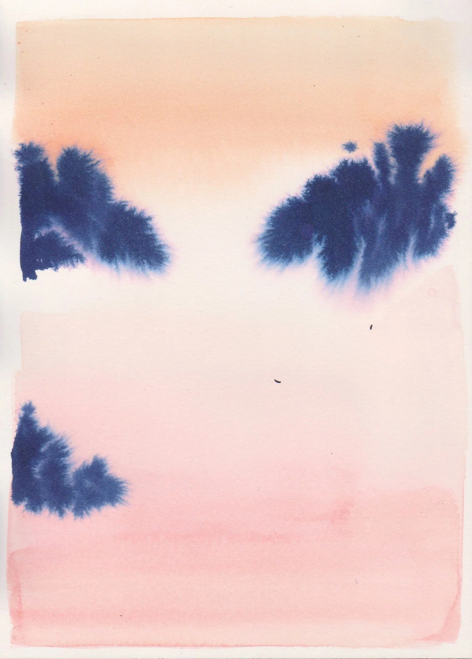 paysage 19.jpg