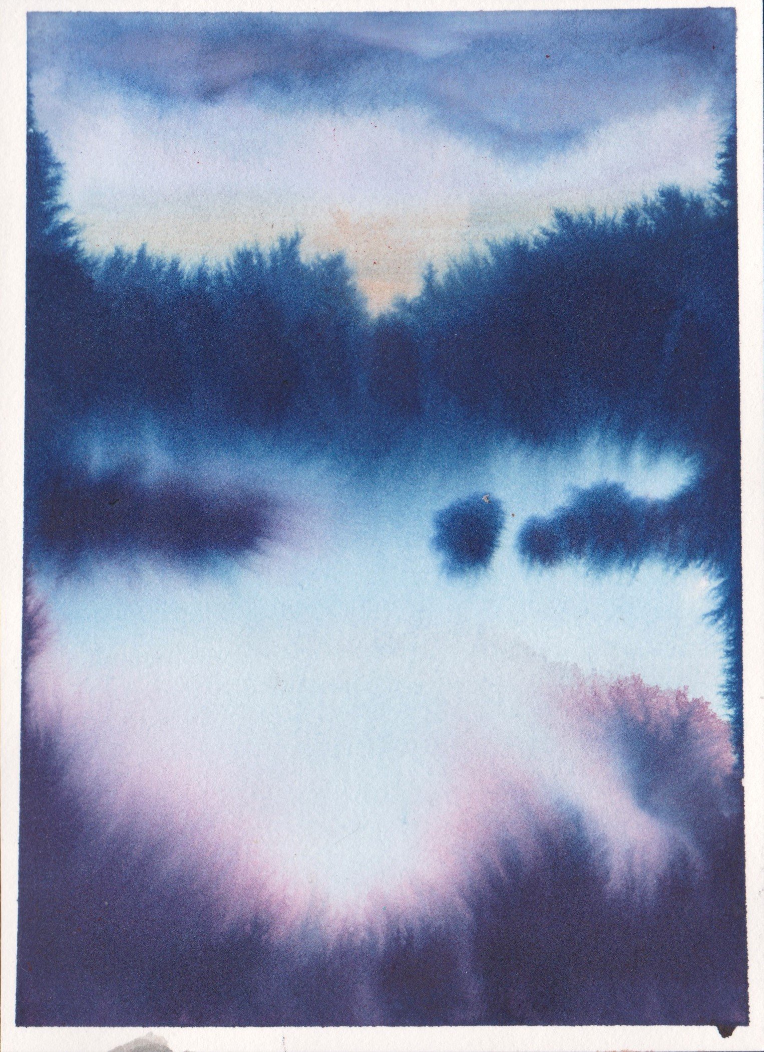 paysage 1.jpg
