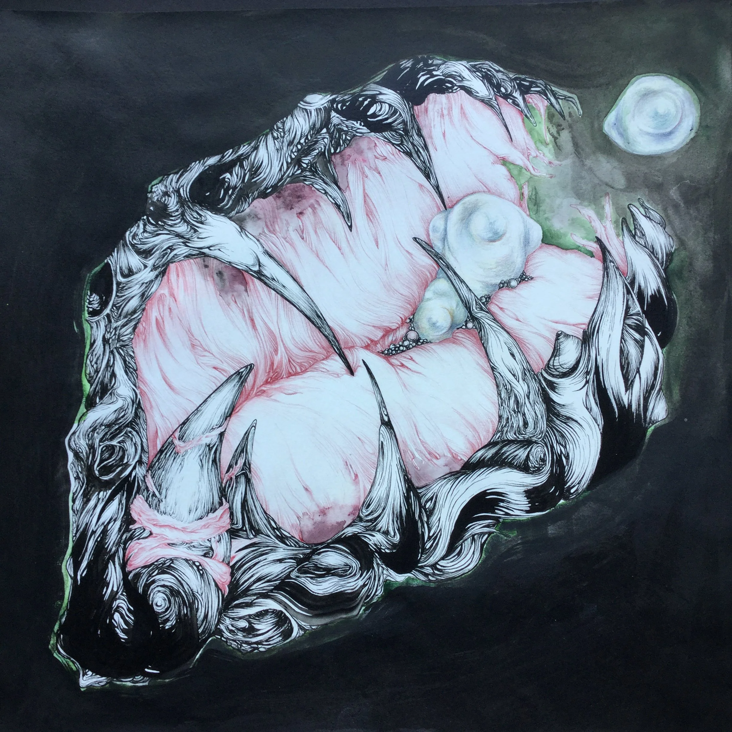 Perle rare, Encre, crayon et stylo sur papier,  12x12 pouces, 2016, 300€