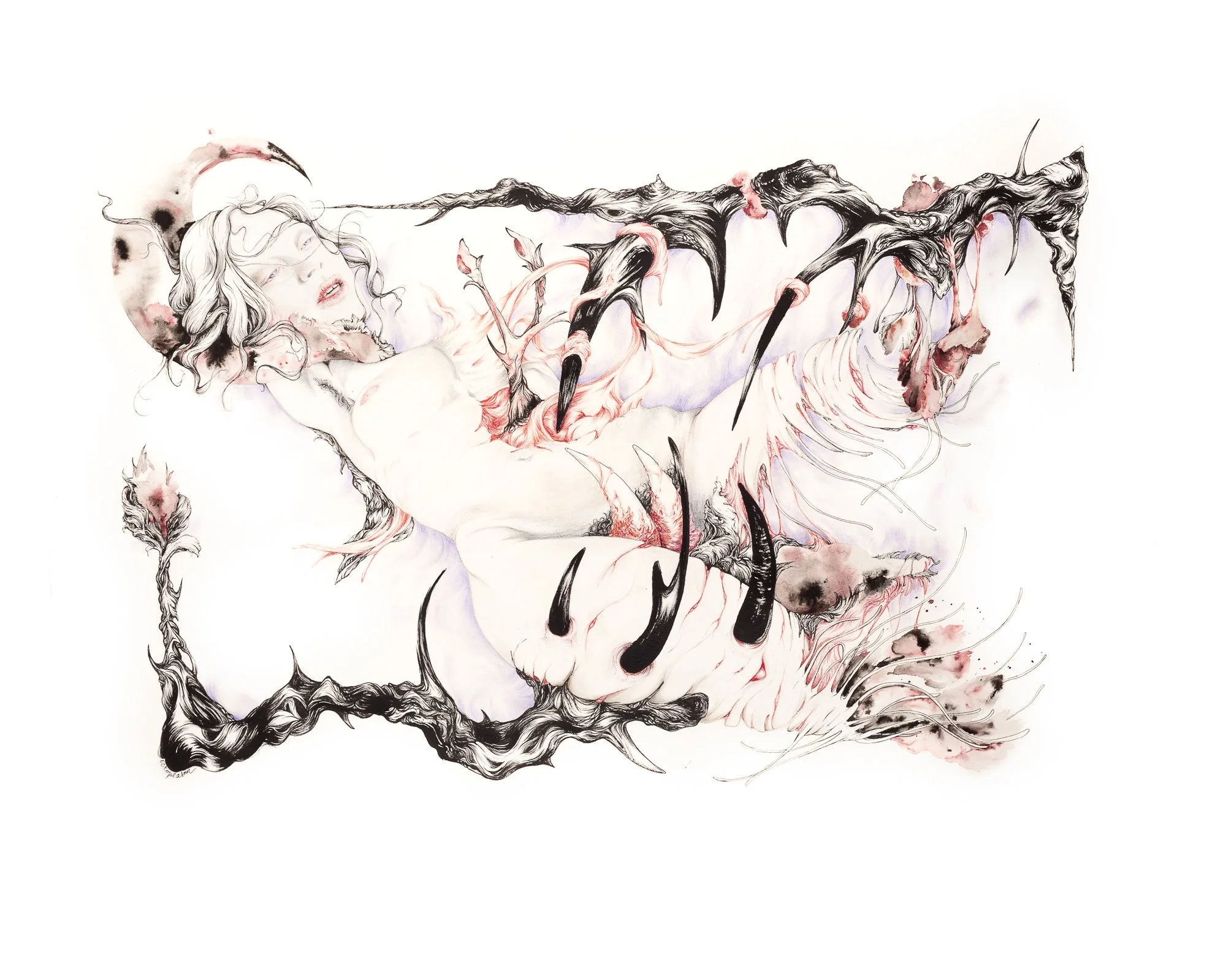 Le piège, Encre, crayon et stylo sur papier,  22x30 inches, 2016, 950€