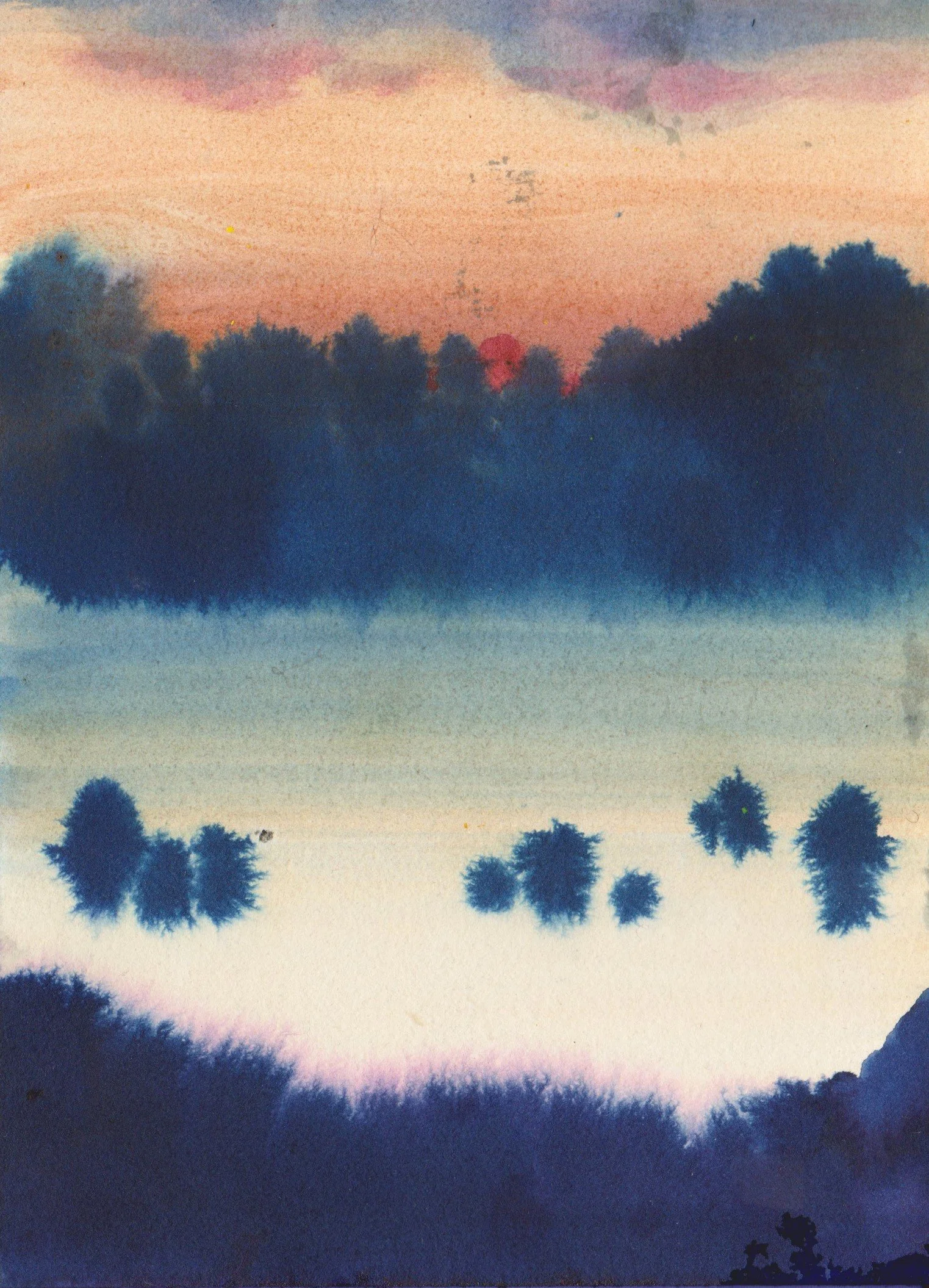 paysage 2.jpg