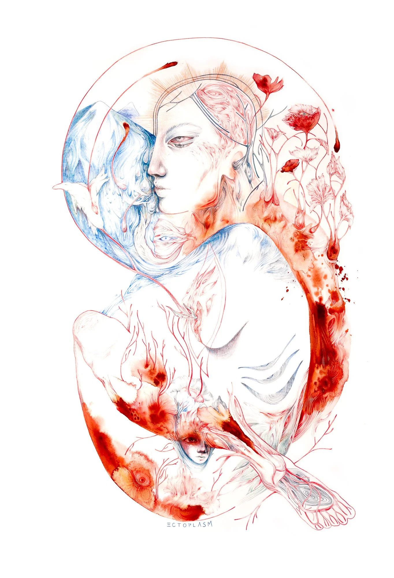 Persephone, Encre et crayons sur papier, 2017, 22'x30' pouces/ 56x76cm, 750€