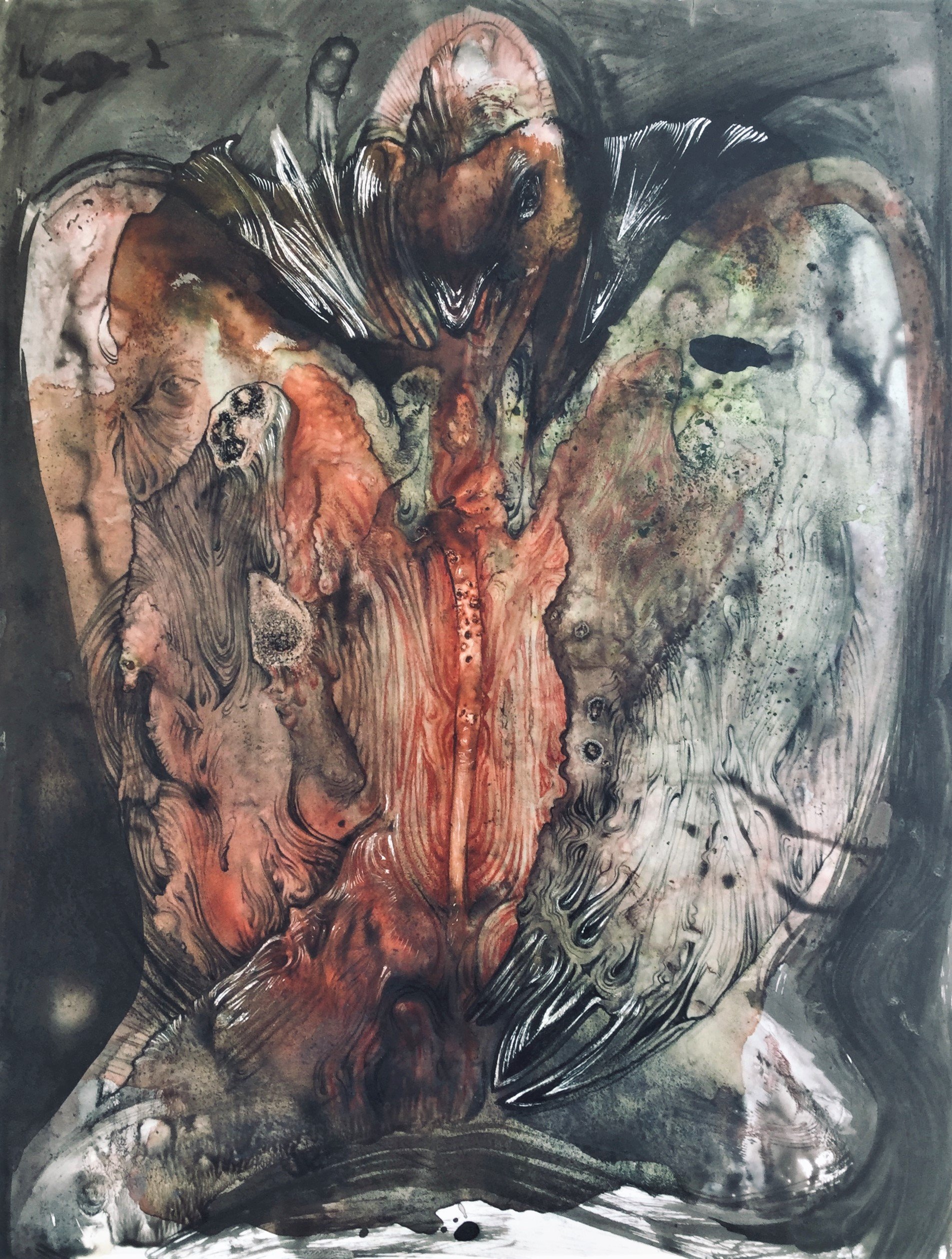 Black Swan, Ink and pencils on mineral paper, 21x28cm, 150€