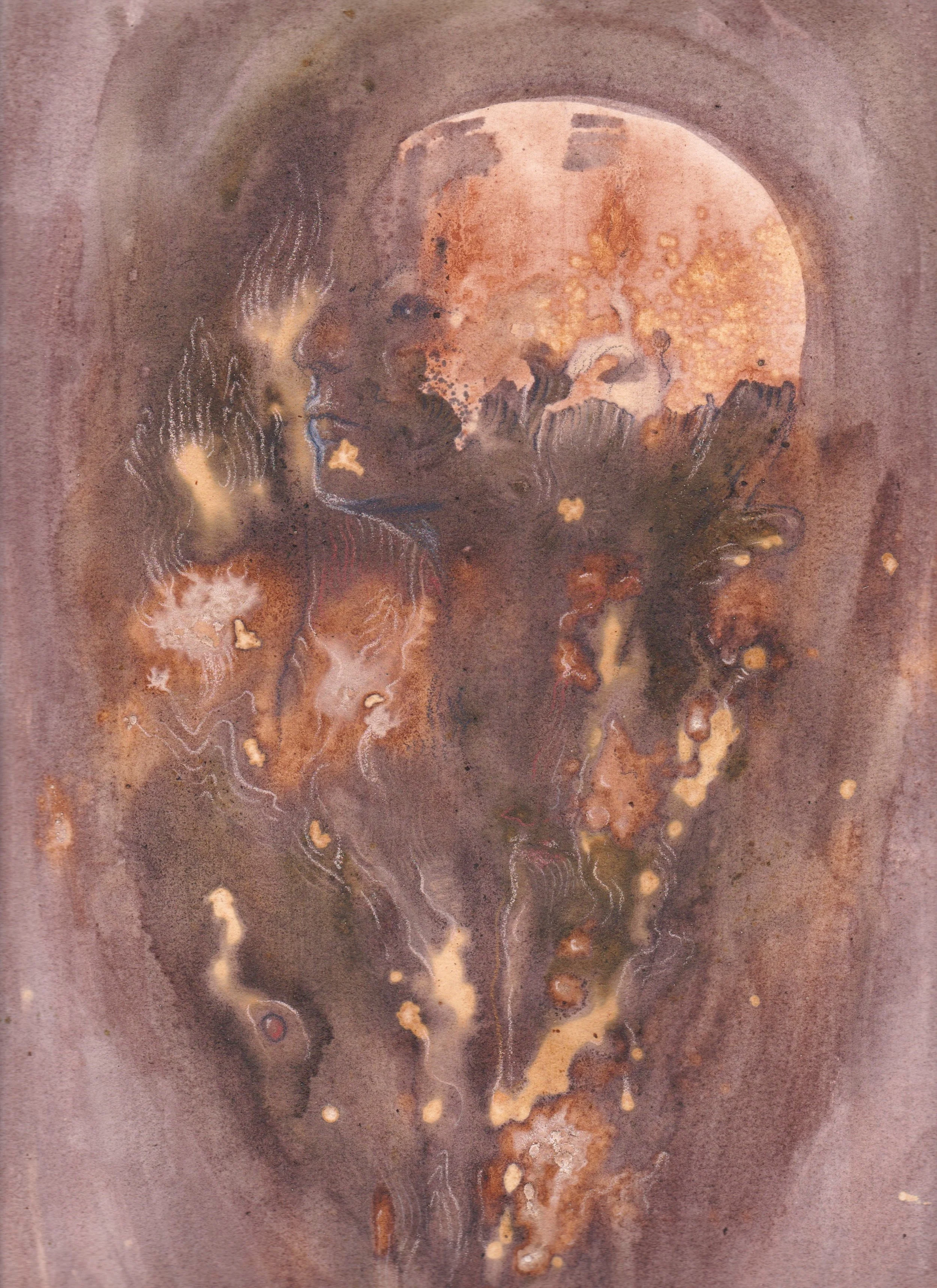 Ares, botanical ink and pencils on paper, 2024, 30x42cm, 350€