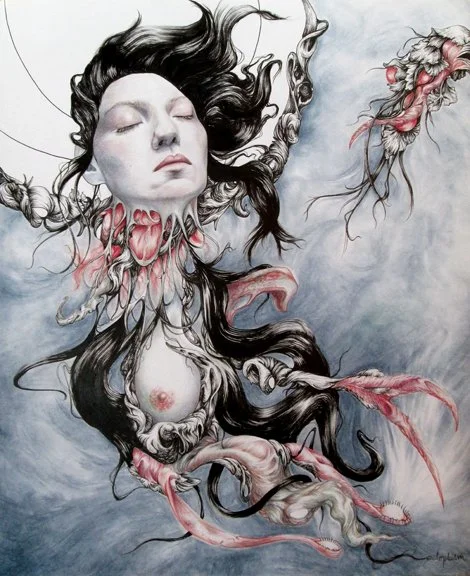 Metamorphosis, Encre, stylo et crayon sur papier, 35x43cm, 2016, 700€