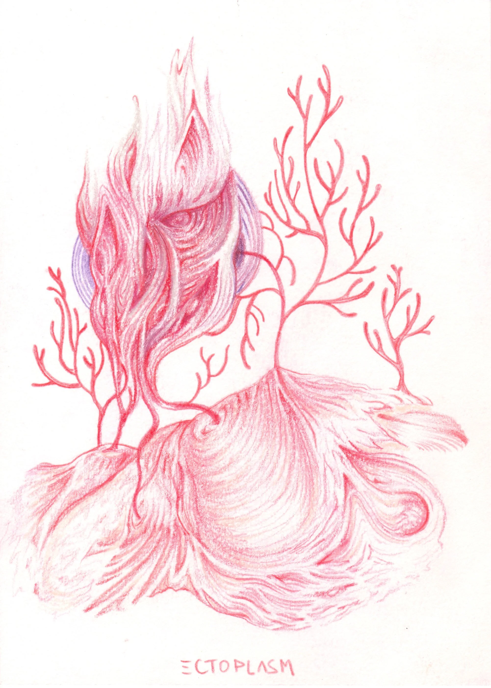 Coral grief 2, pencil on paper, 14x21cm, 2021, 50€